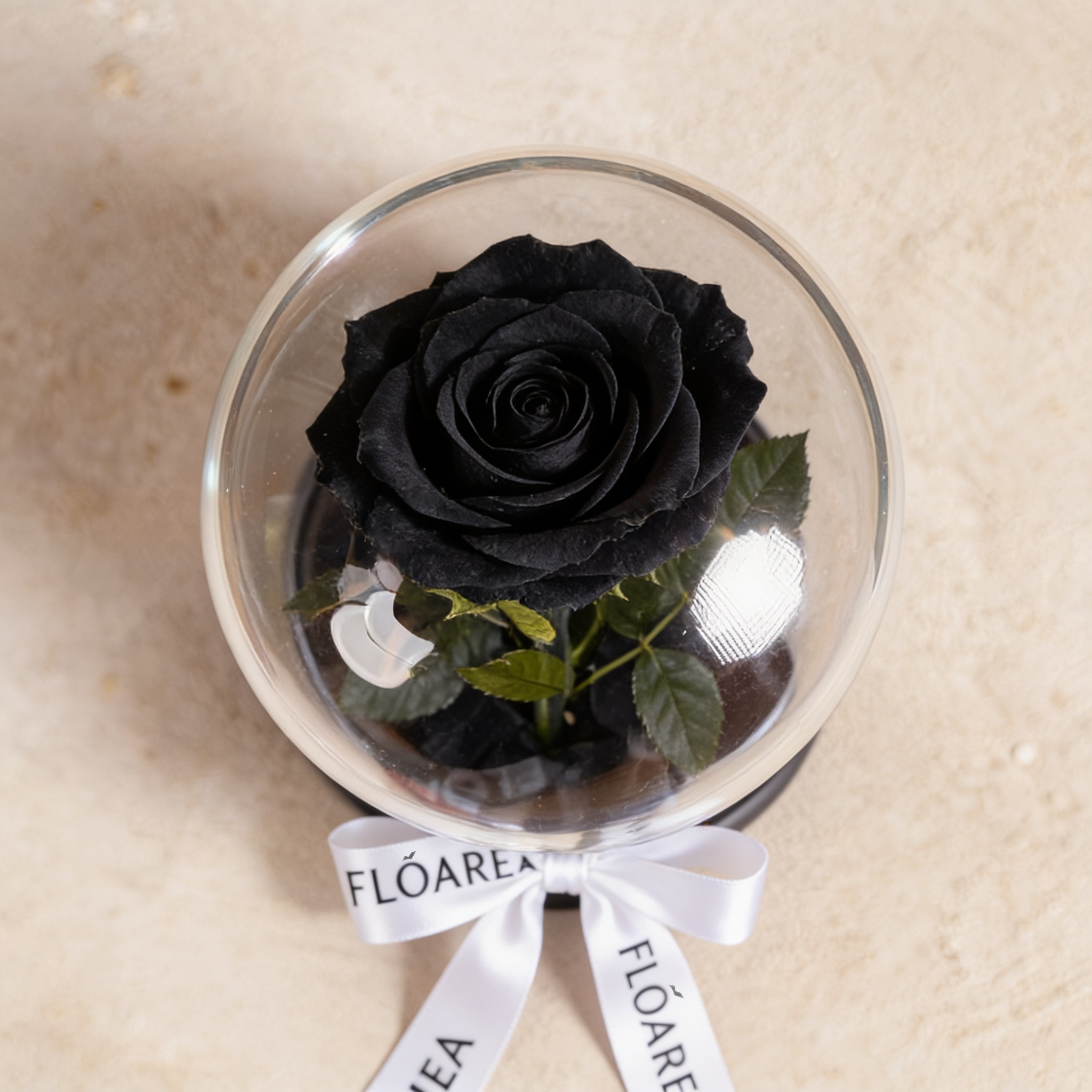 Small Black Forever Rose