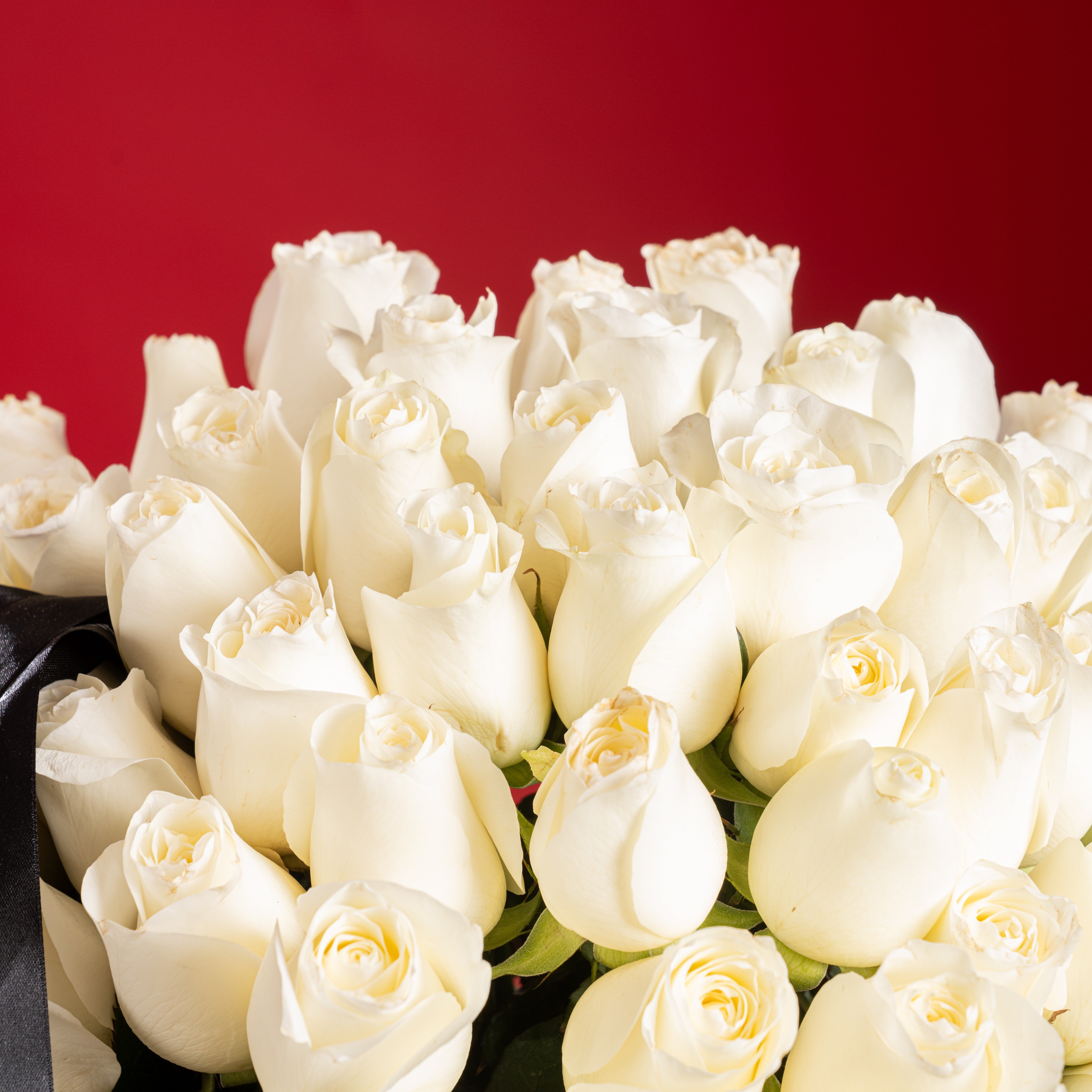 130 White Roses Basket