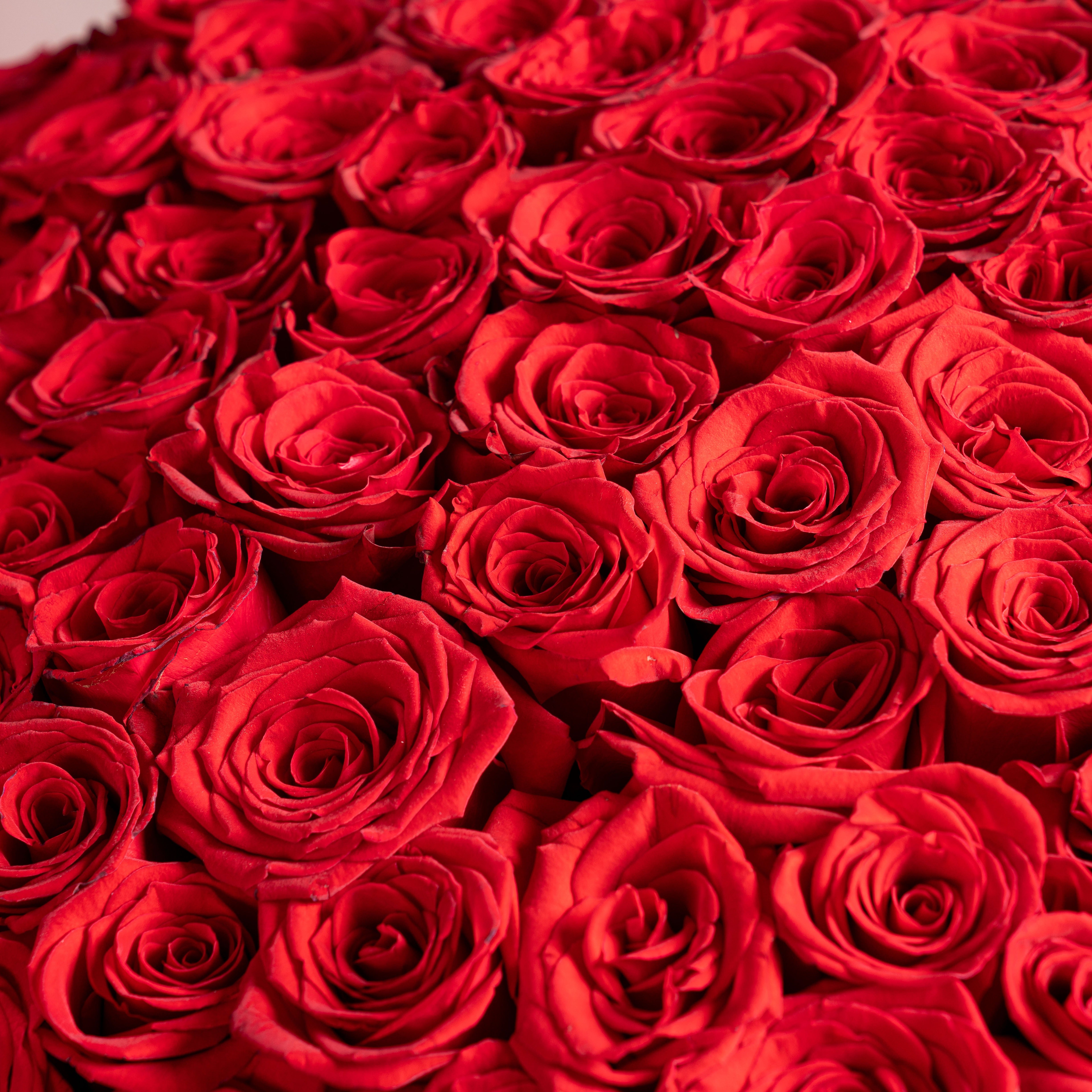 150 Red Roses Signature Hatbox