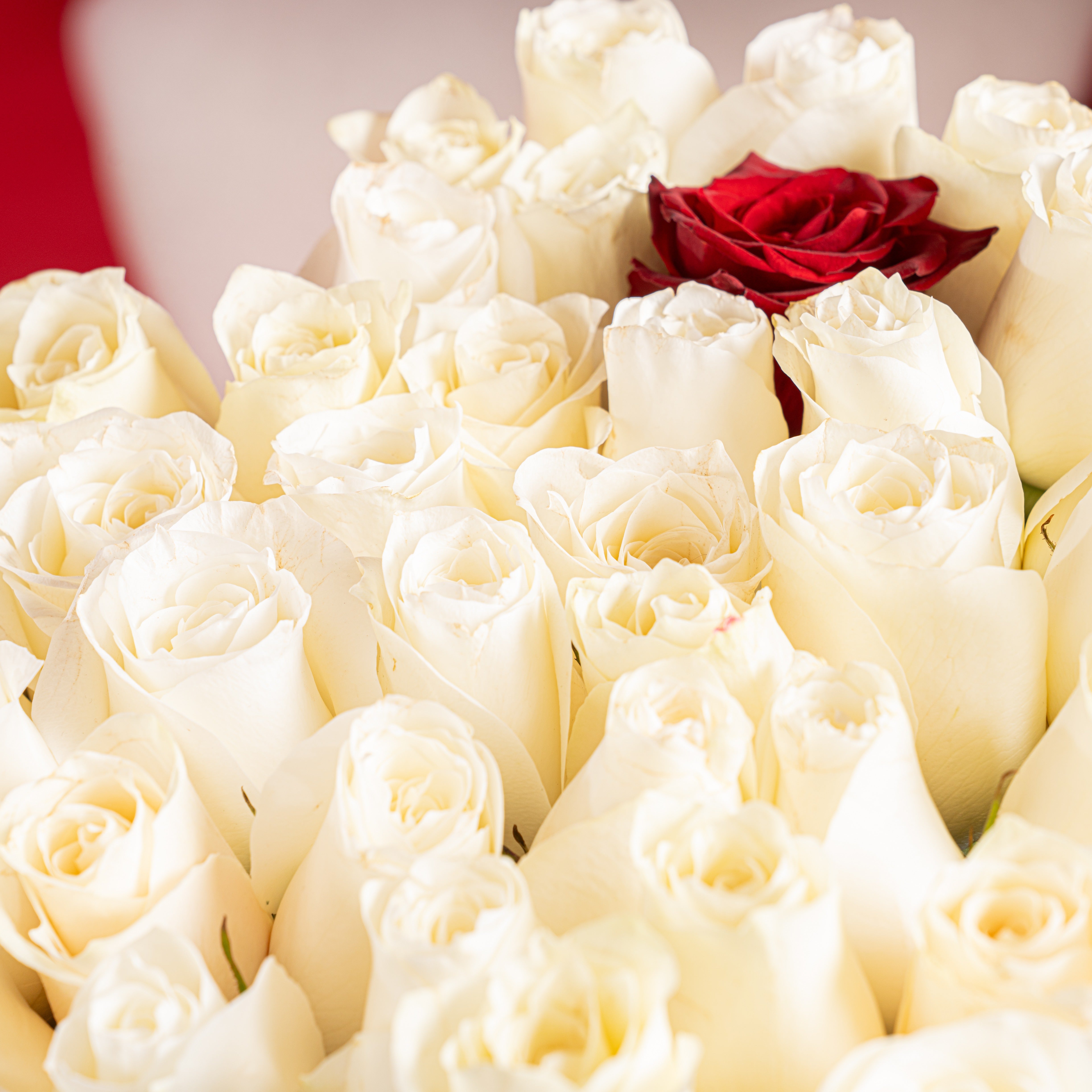 45 White Roses Heart Box