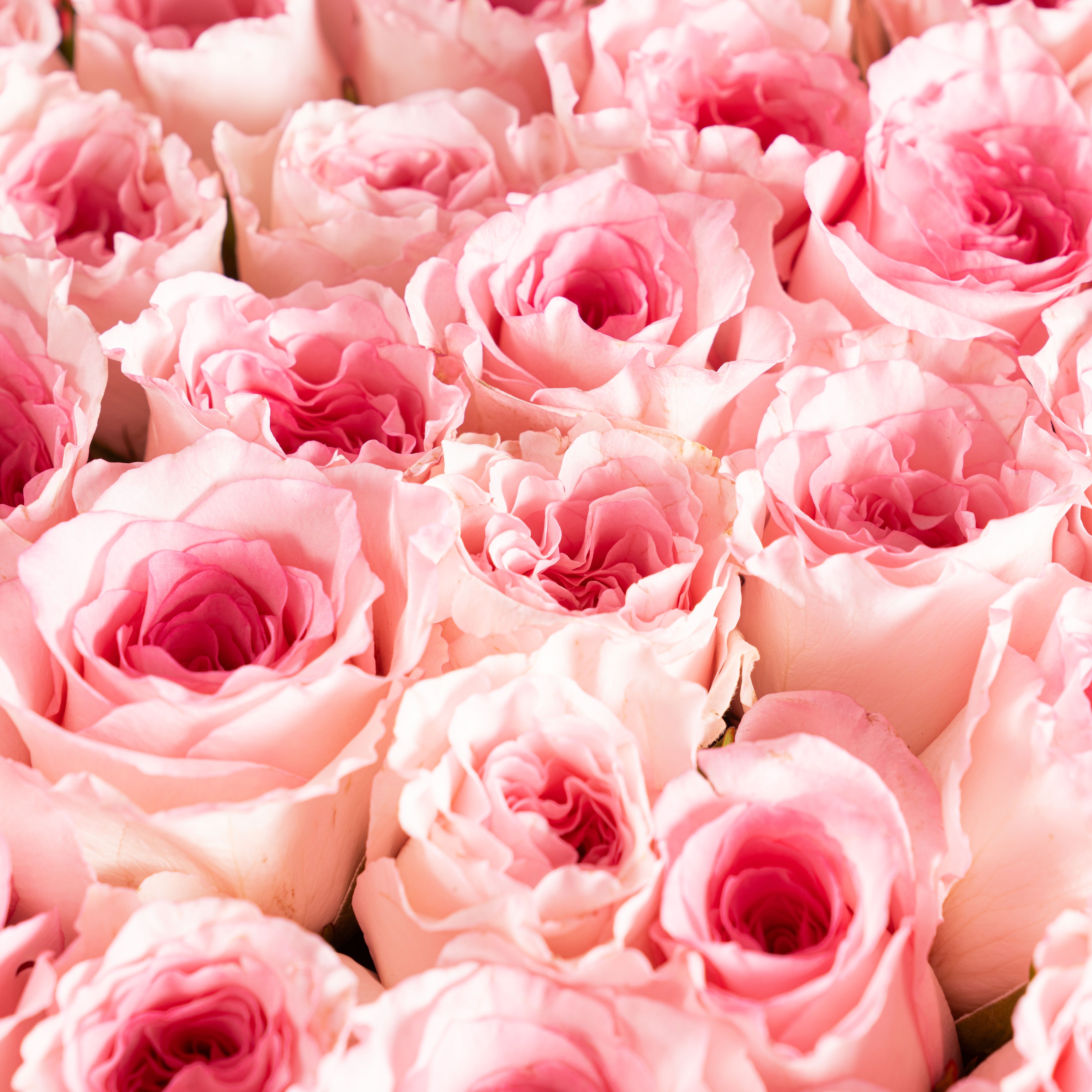 60 Pink Roses Heart Box