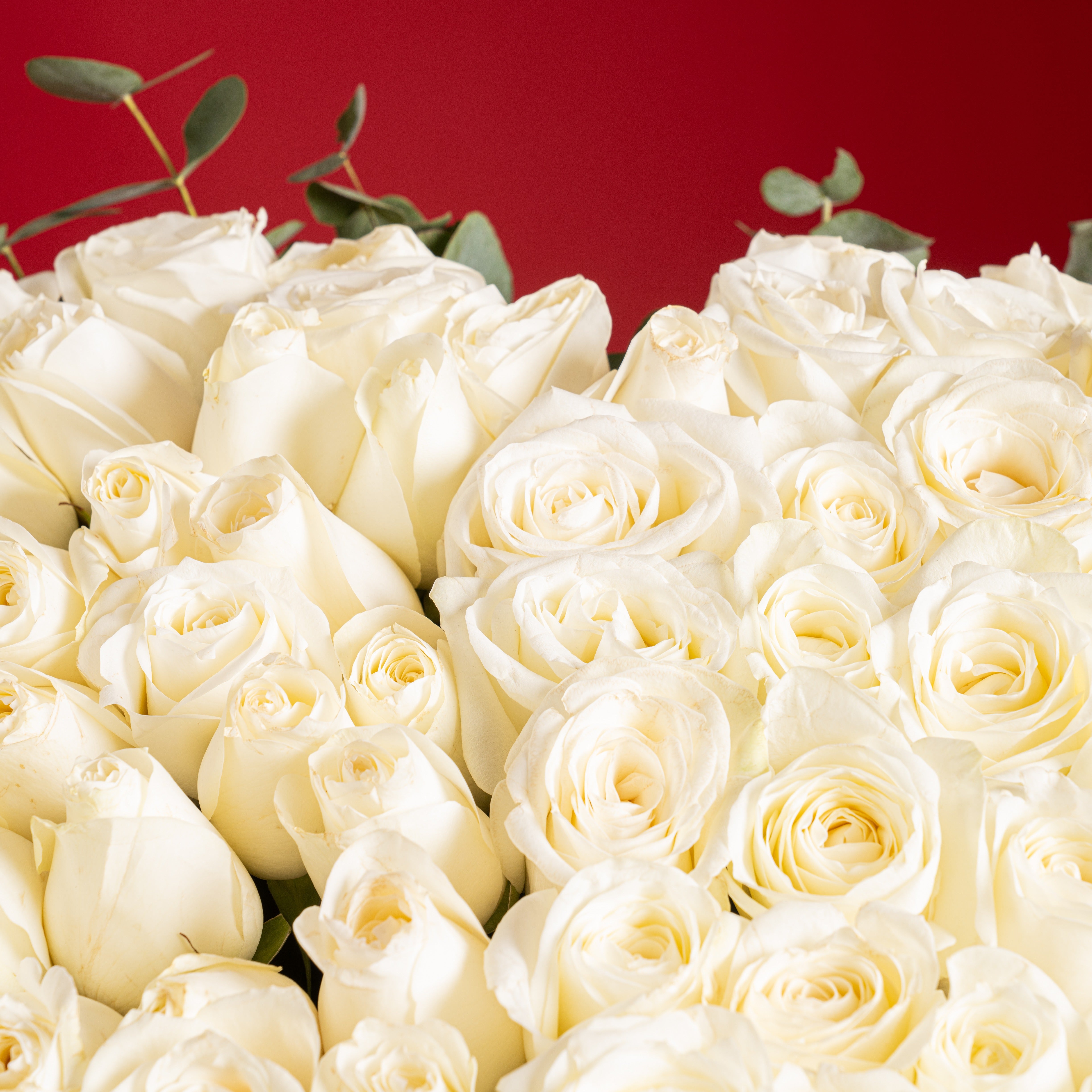 80 White Roses Heart Bouquet