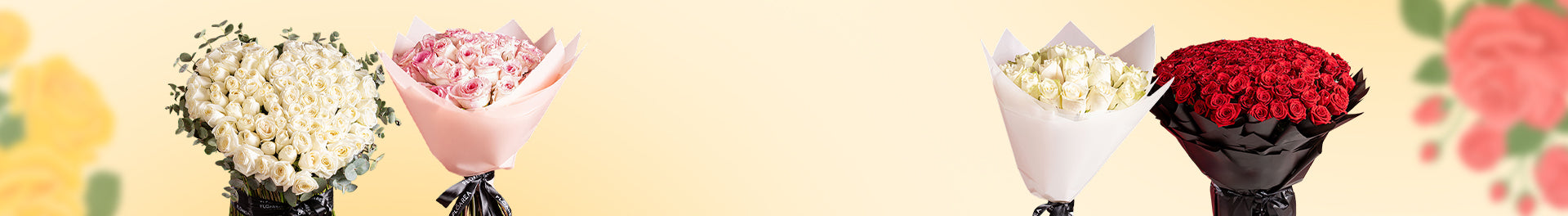 collection-banner-image