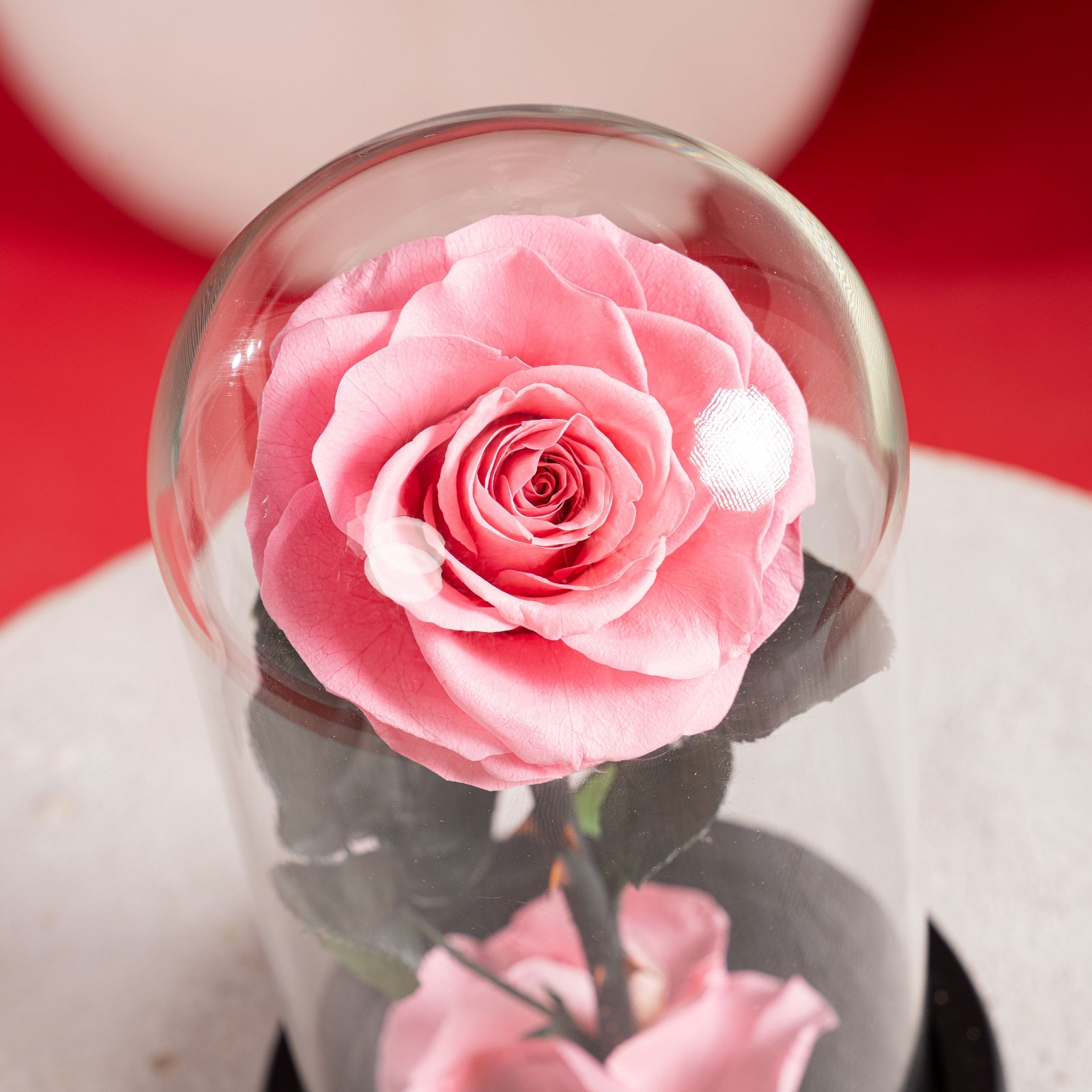 Single Forever Rose – Pink