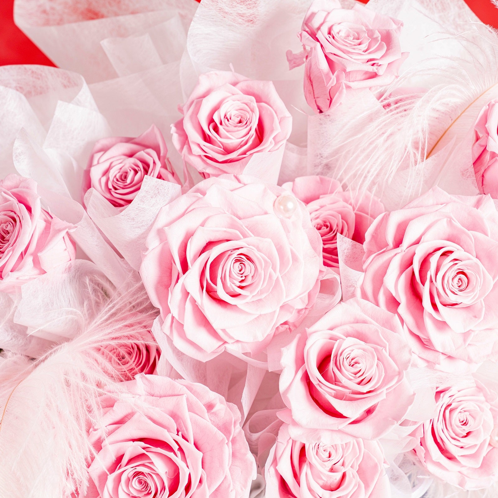 Forever Blush Elegance Box