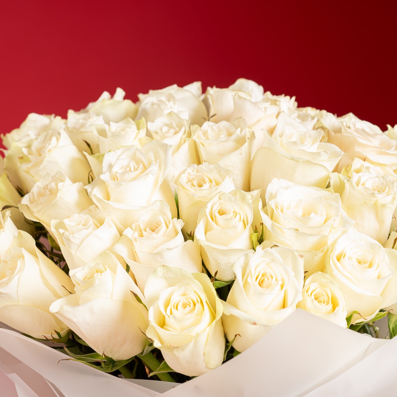 50 White Roses Bouquet