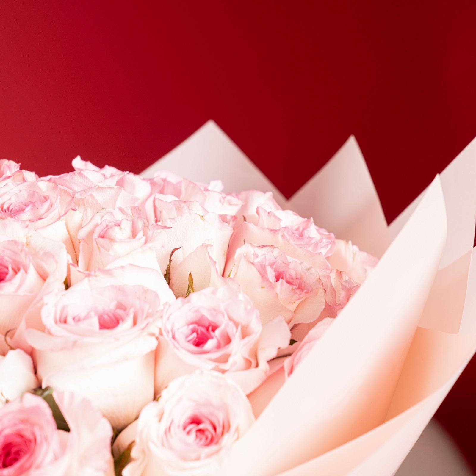 30 Pink Roses Bouquet
