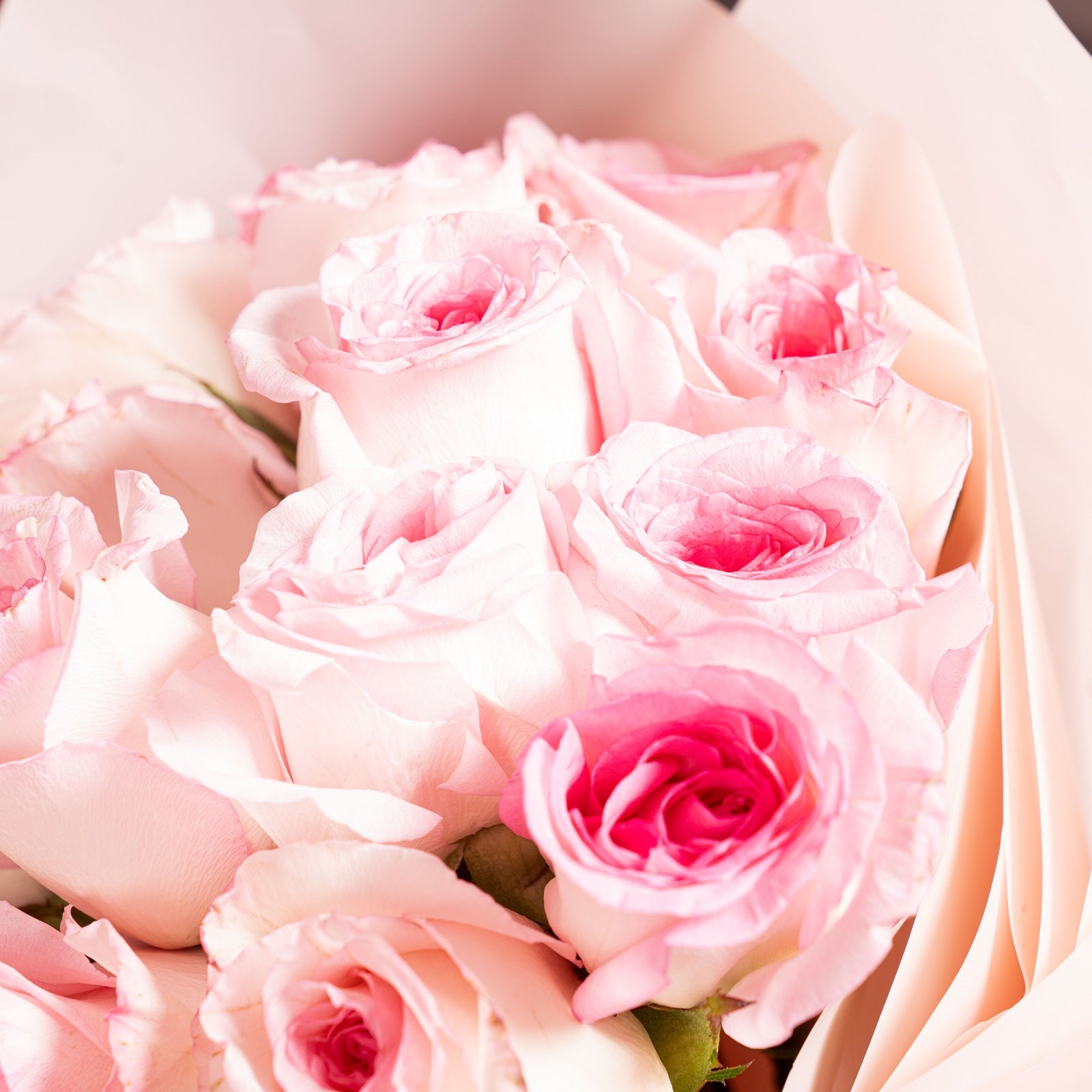 15 Pink Roses Bouquet