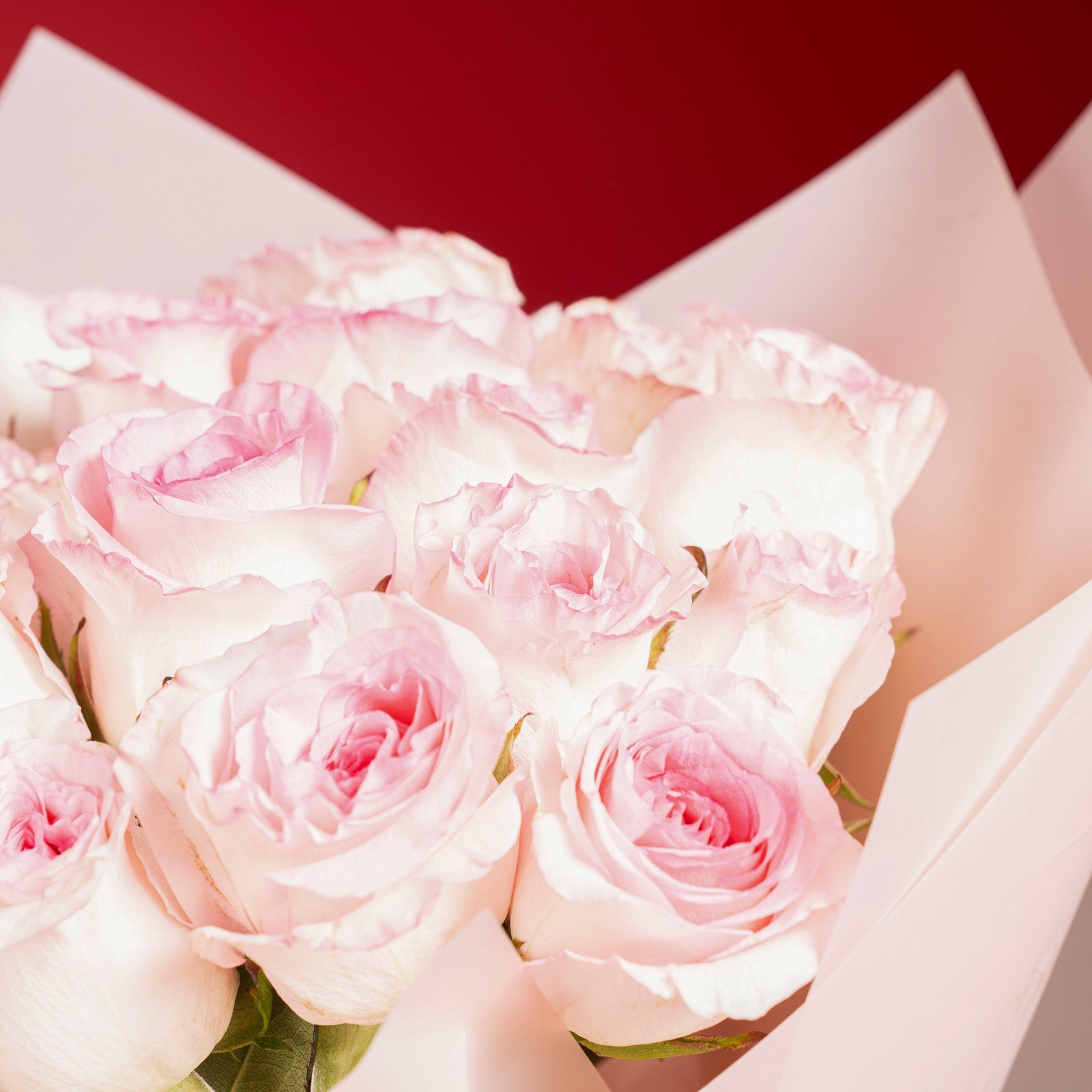 50 Pink Roses Bouquet