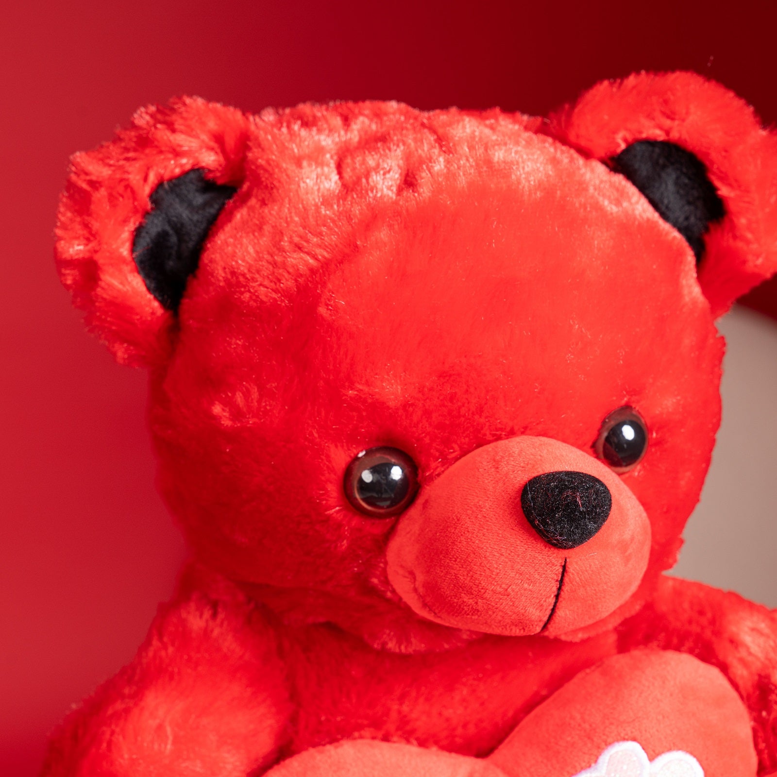 Red Teddy Bear – Medium