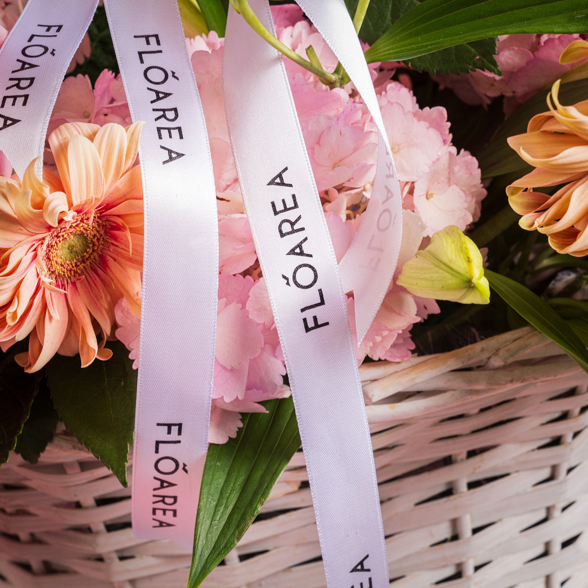 Blush Éclat Basket