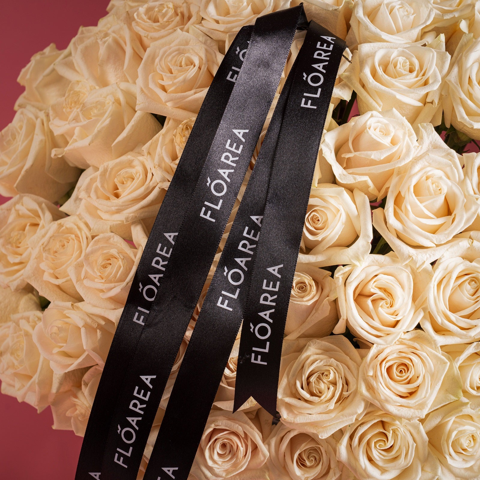 111 Royal White Rose