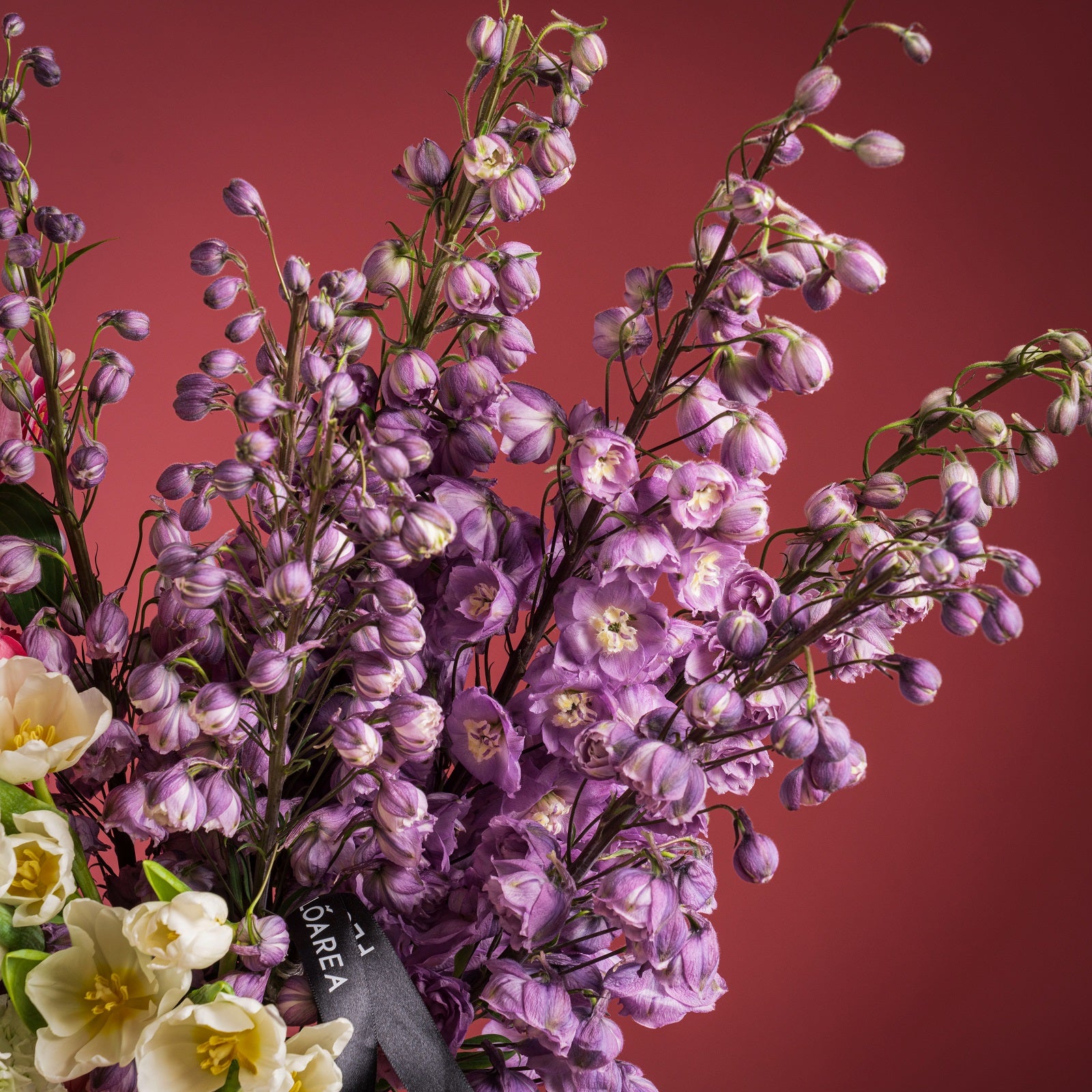 Royal Améthyste Bloom