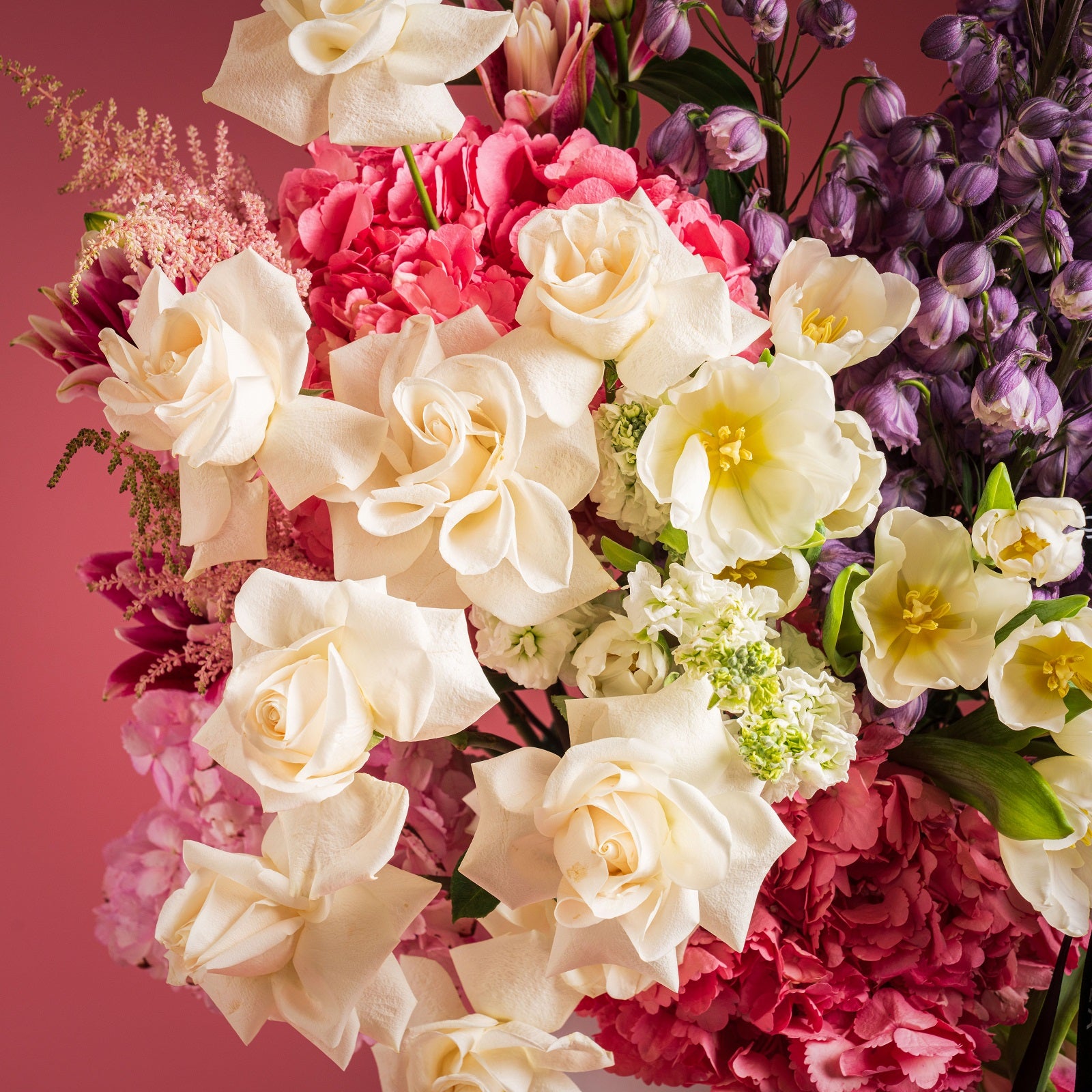 Royal Améthyste Bloom