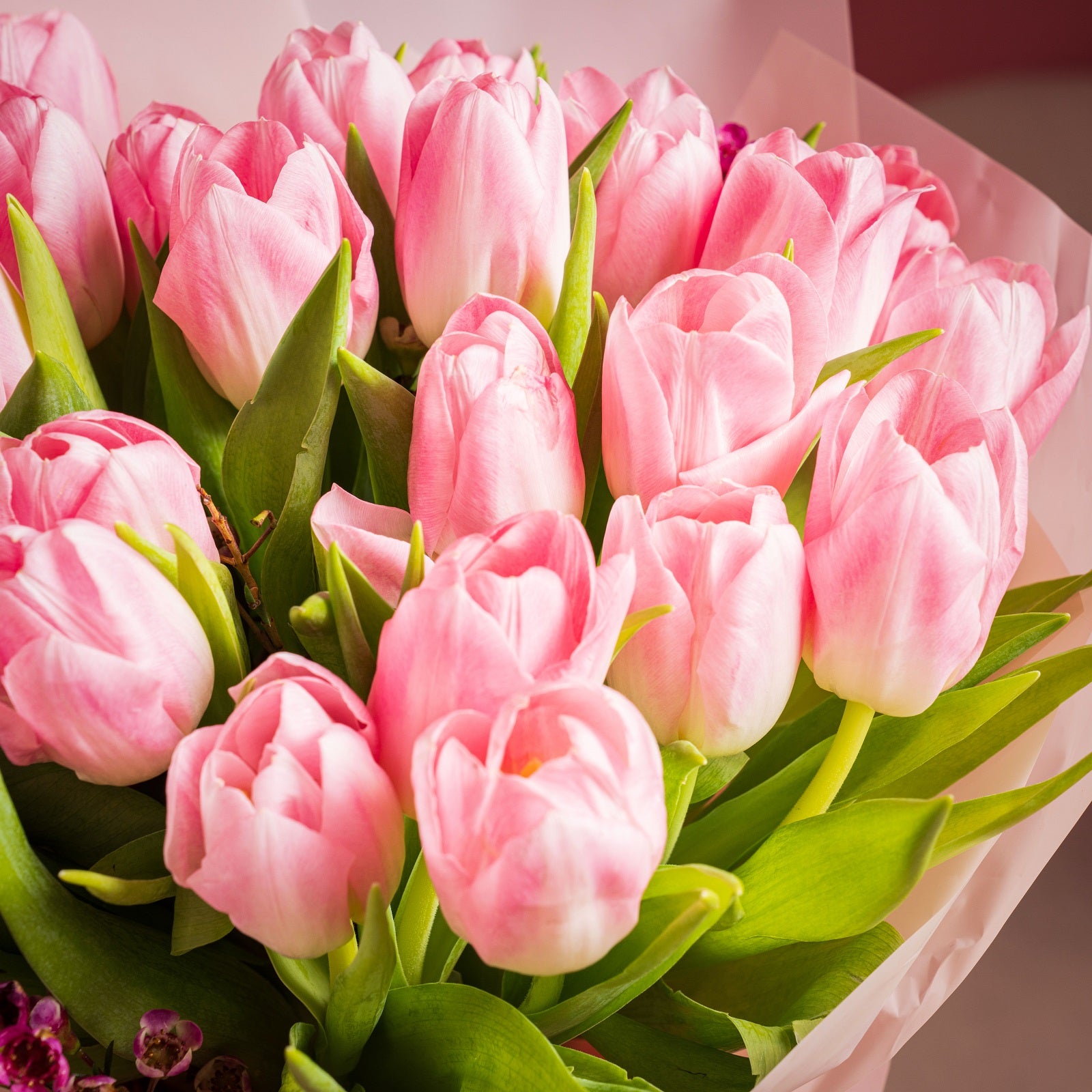 Blush Tulip Bouquet