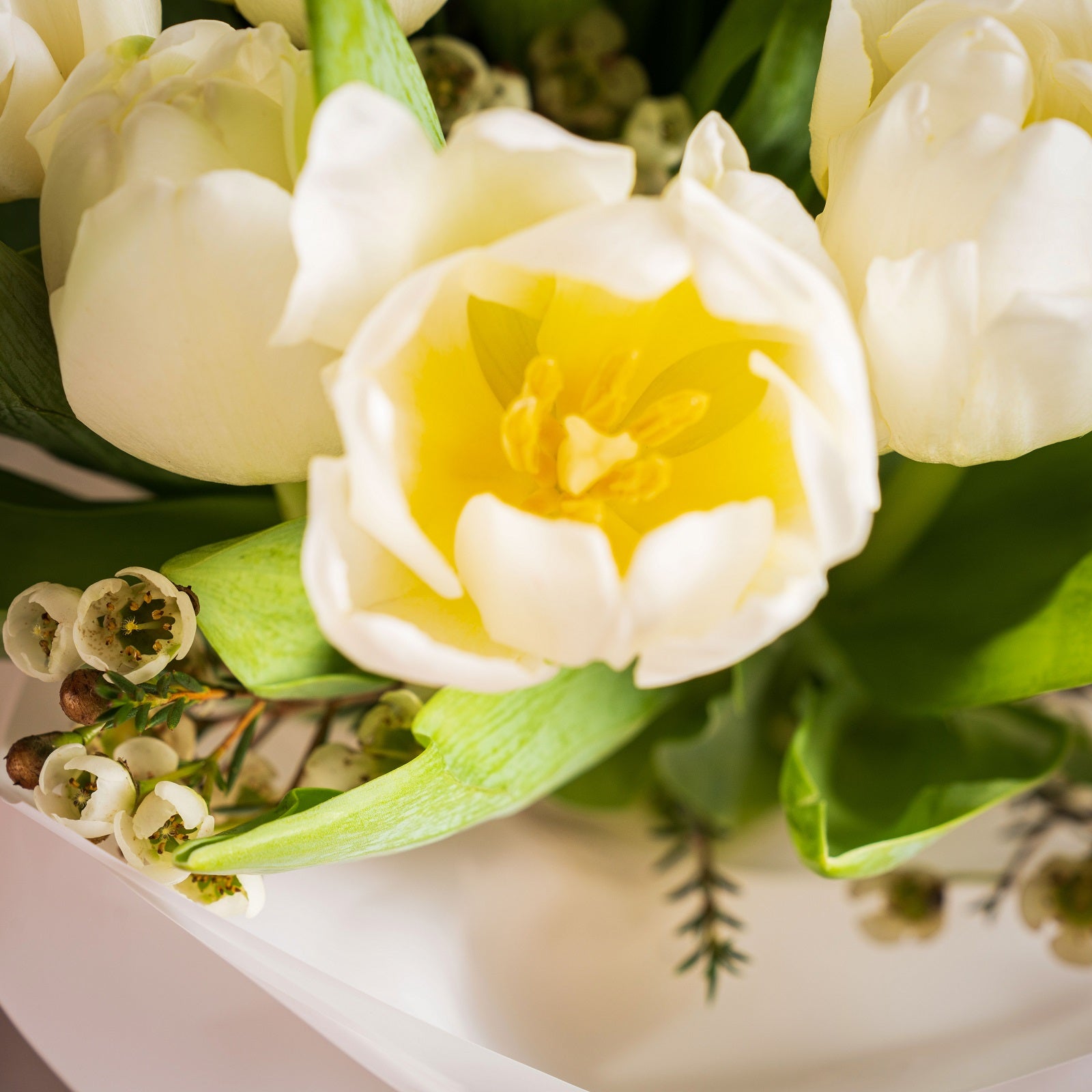 Ivory Tulip Bouquet