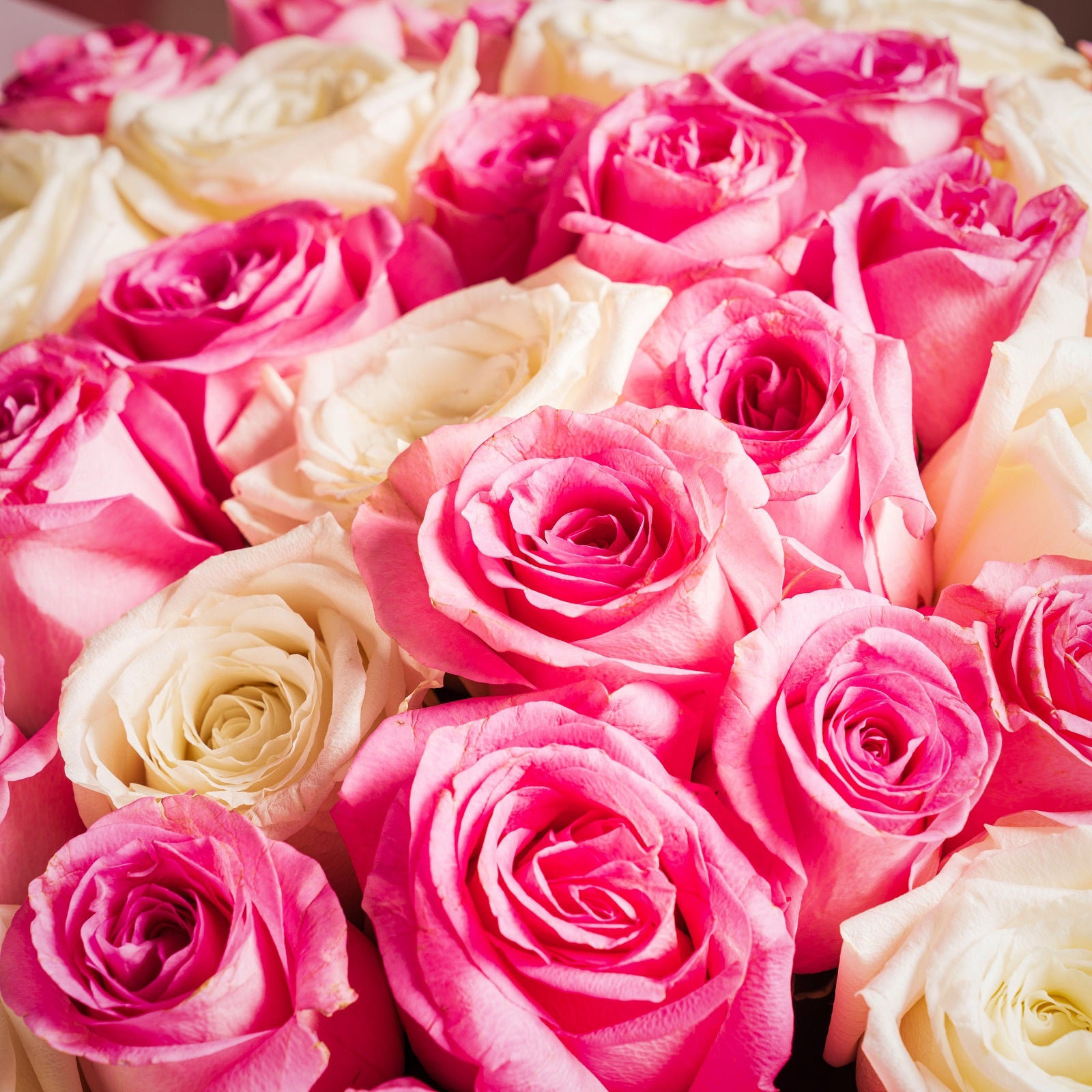 Blush Ivory Harmony Bouquet