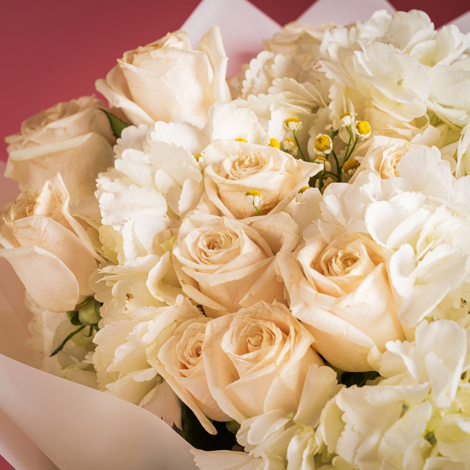 Royal Ivory Garden
