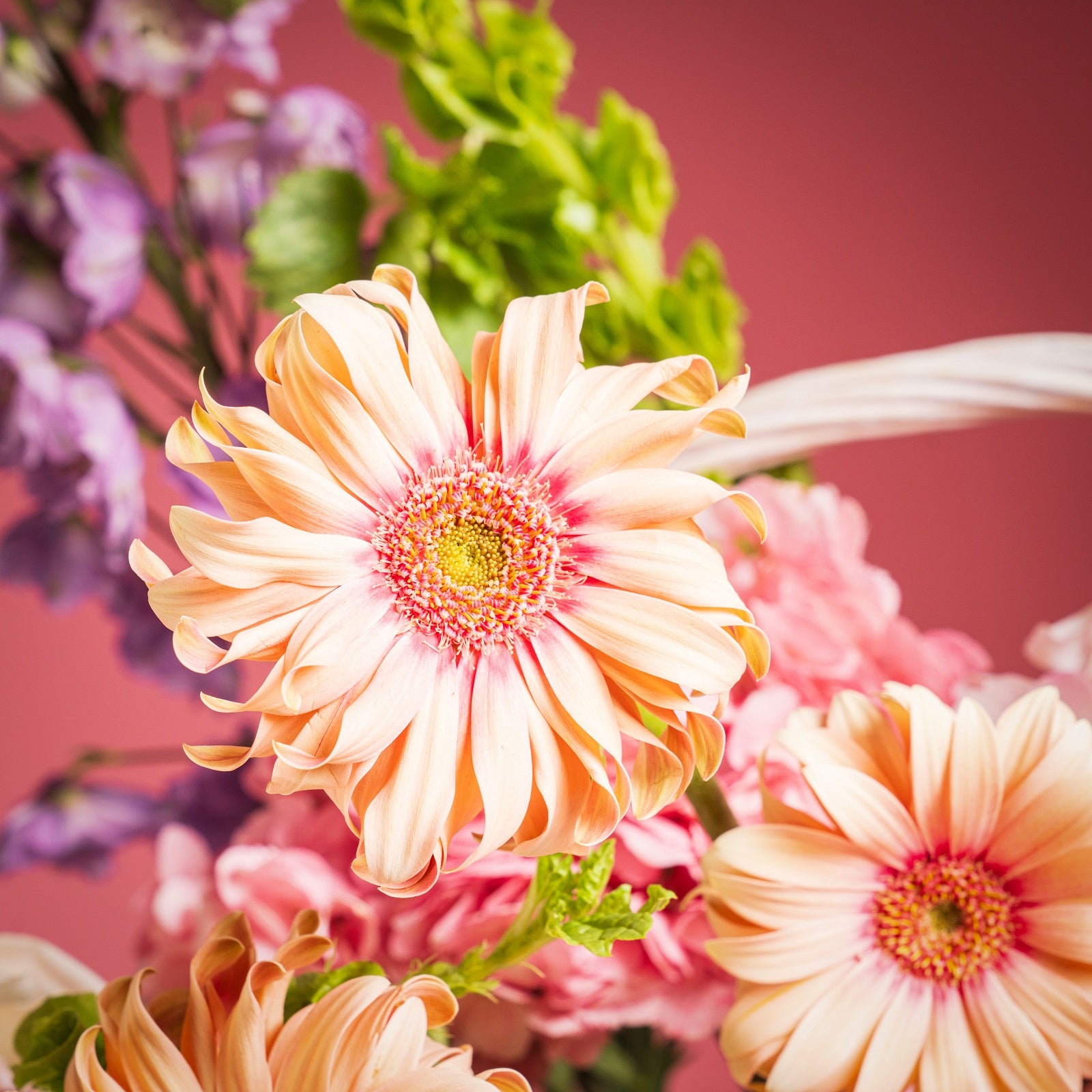 Royal Jardin Blossom