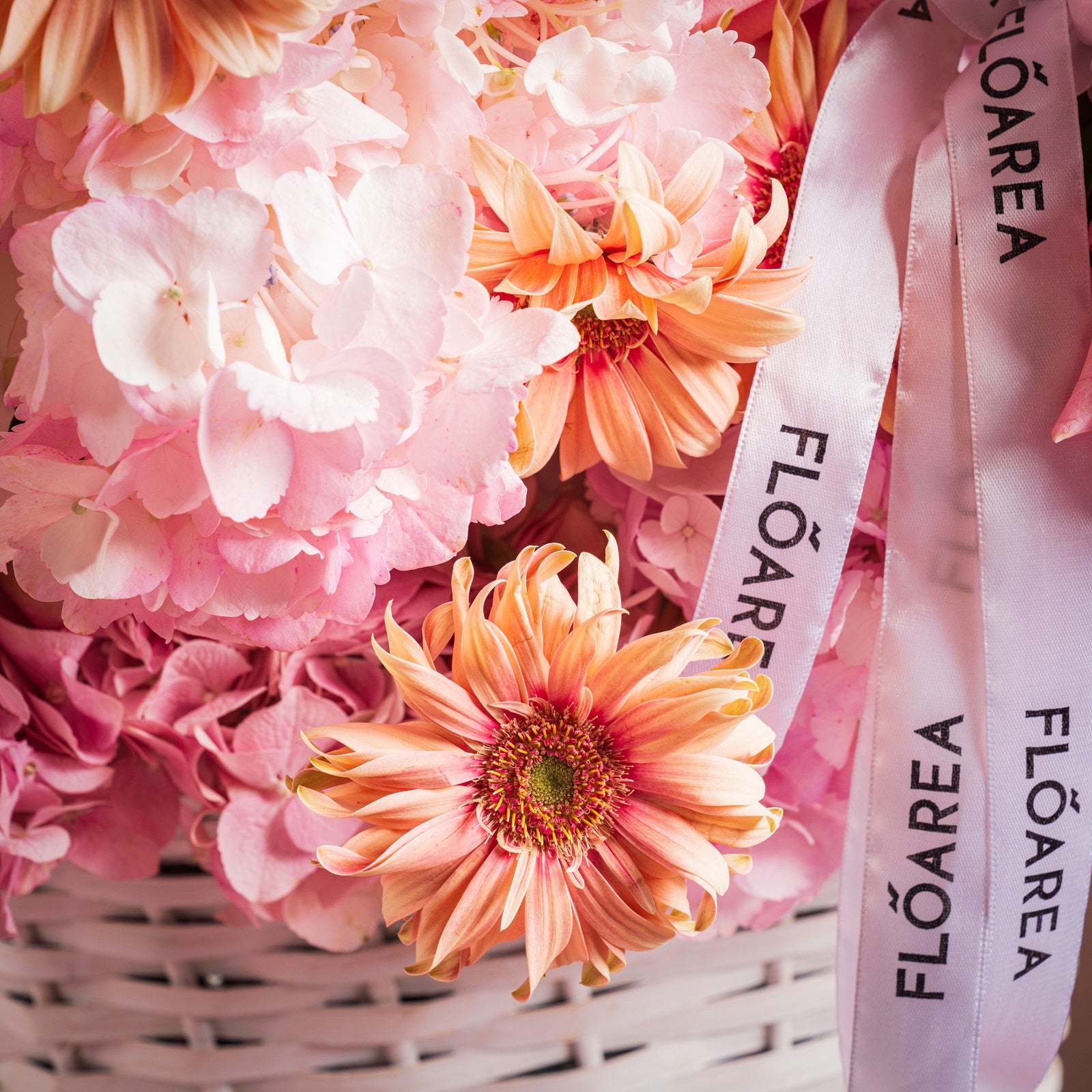 Royal Jardin Blossom