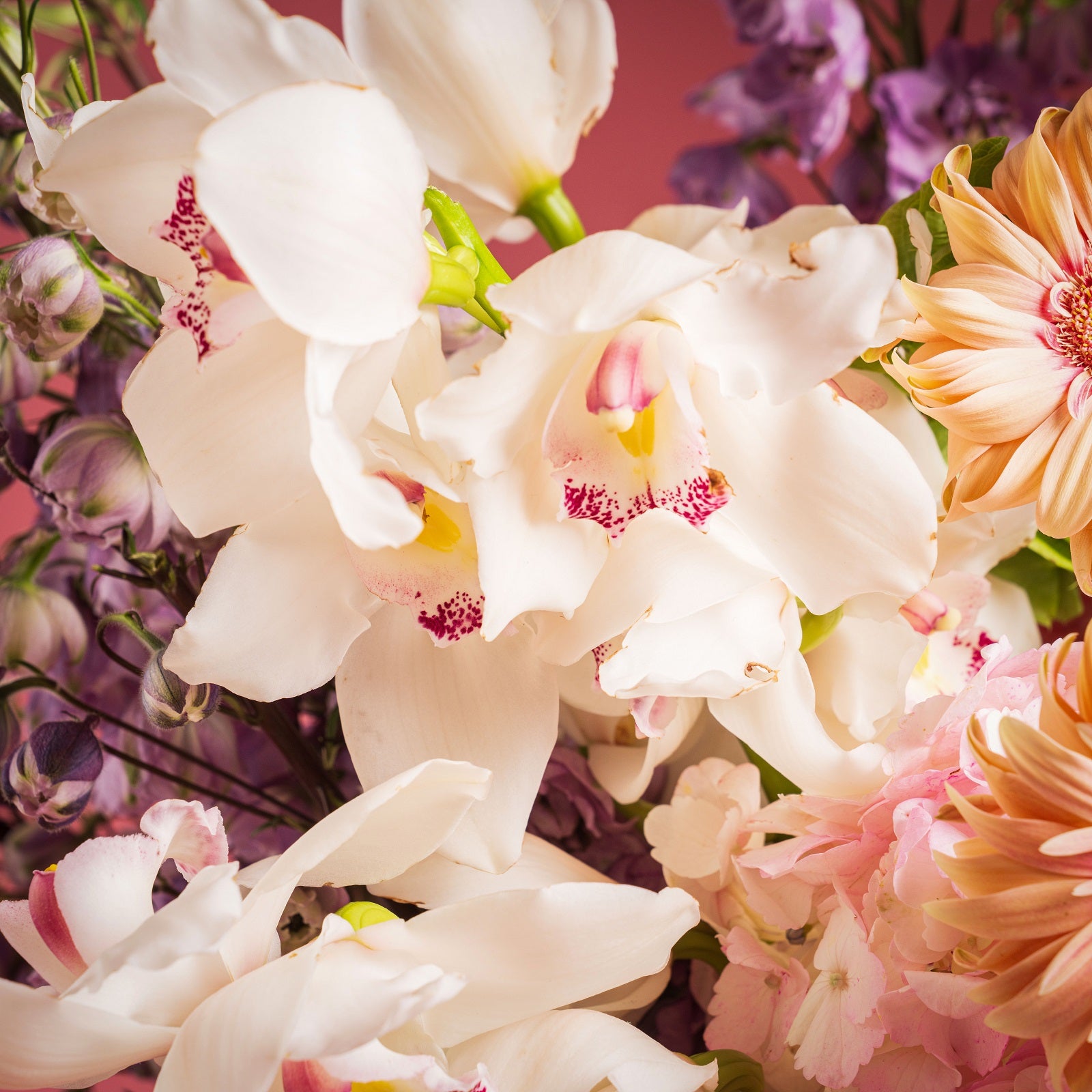 Royal Jardin Blossom