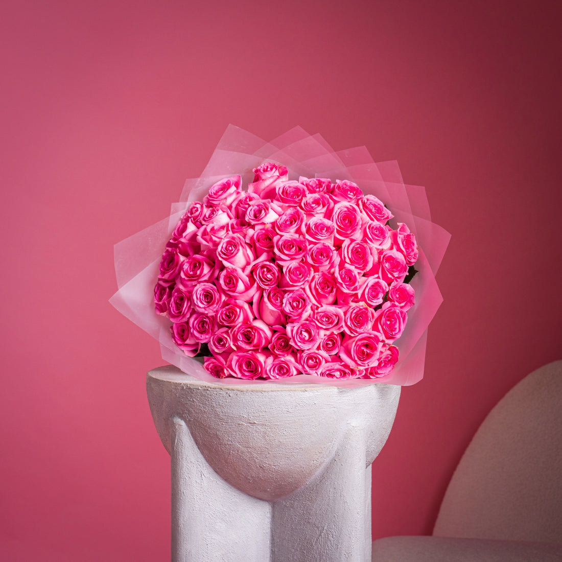50 pink Revival Rose