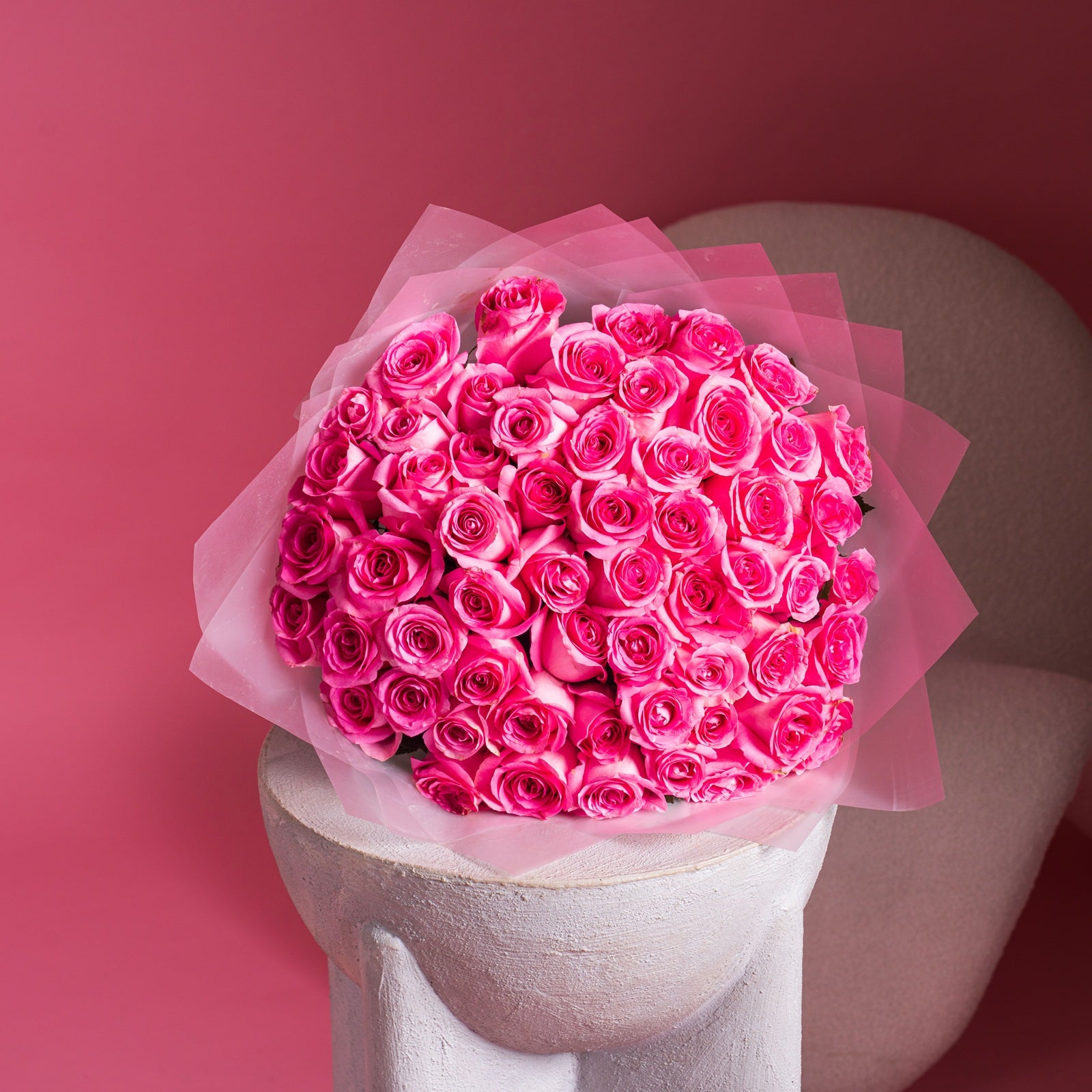 50 pink Revival Rose