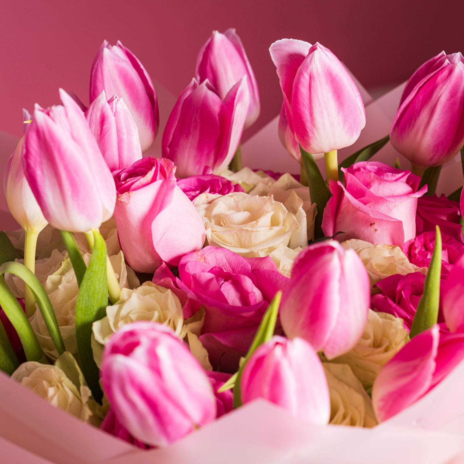 Pink Harmony