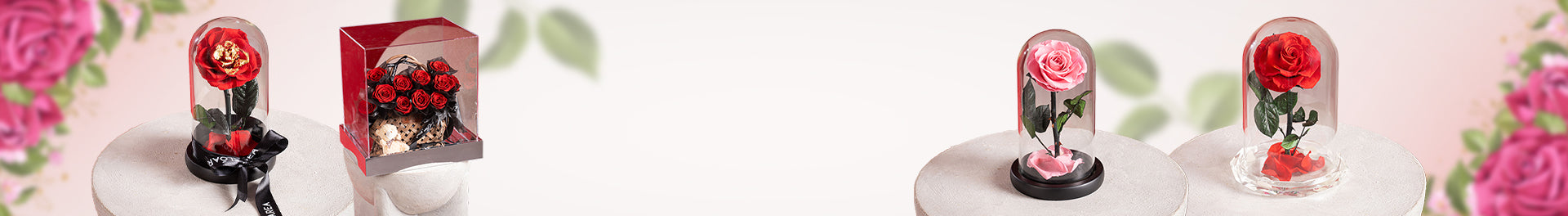 collection-banner-image