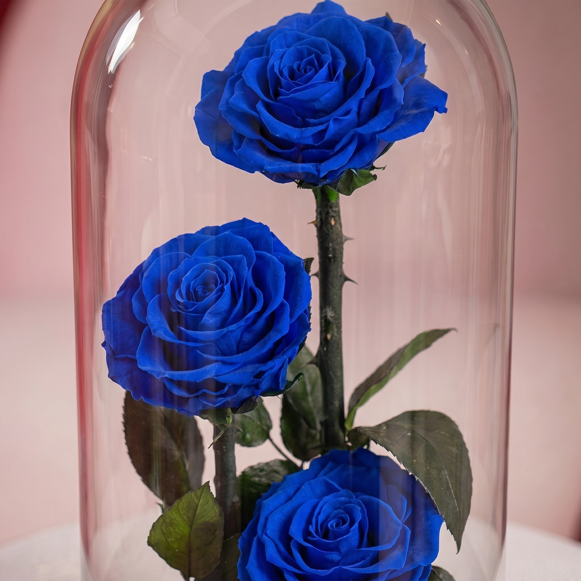 Large Blue Forever Rose - 2