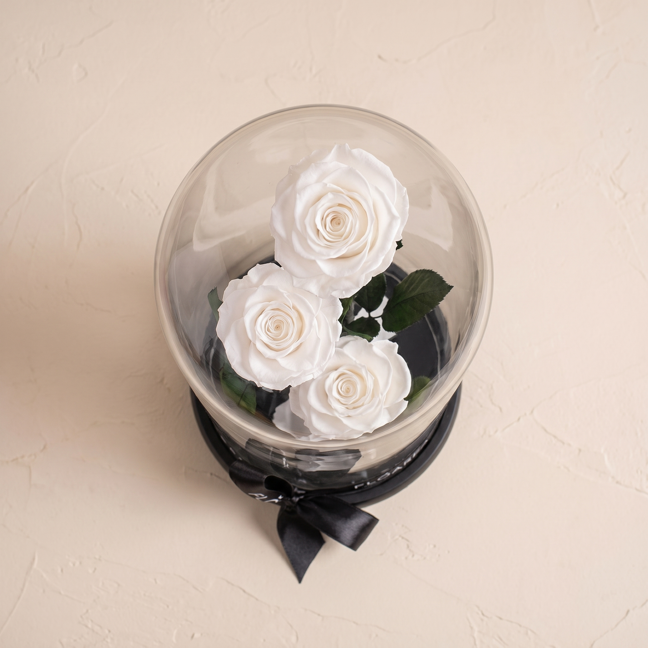 Large White Forever Rose - 3
