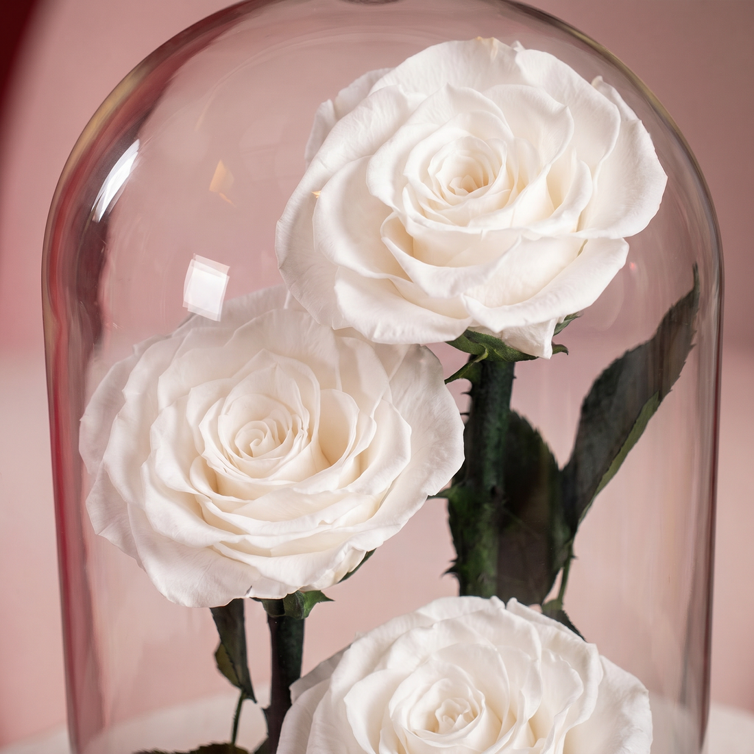 Medium White Forever Rose - 1