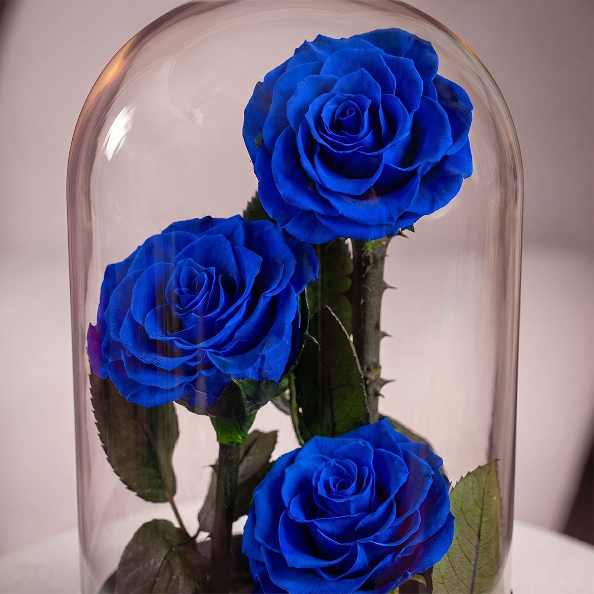 Medium Blue Forever Rose - 2