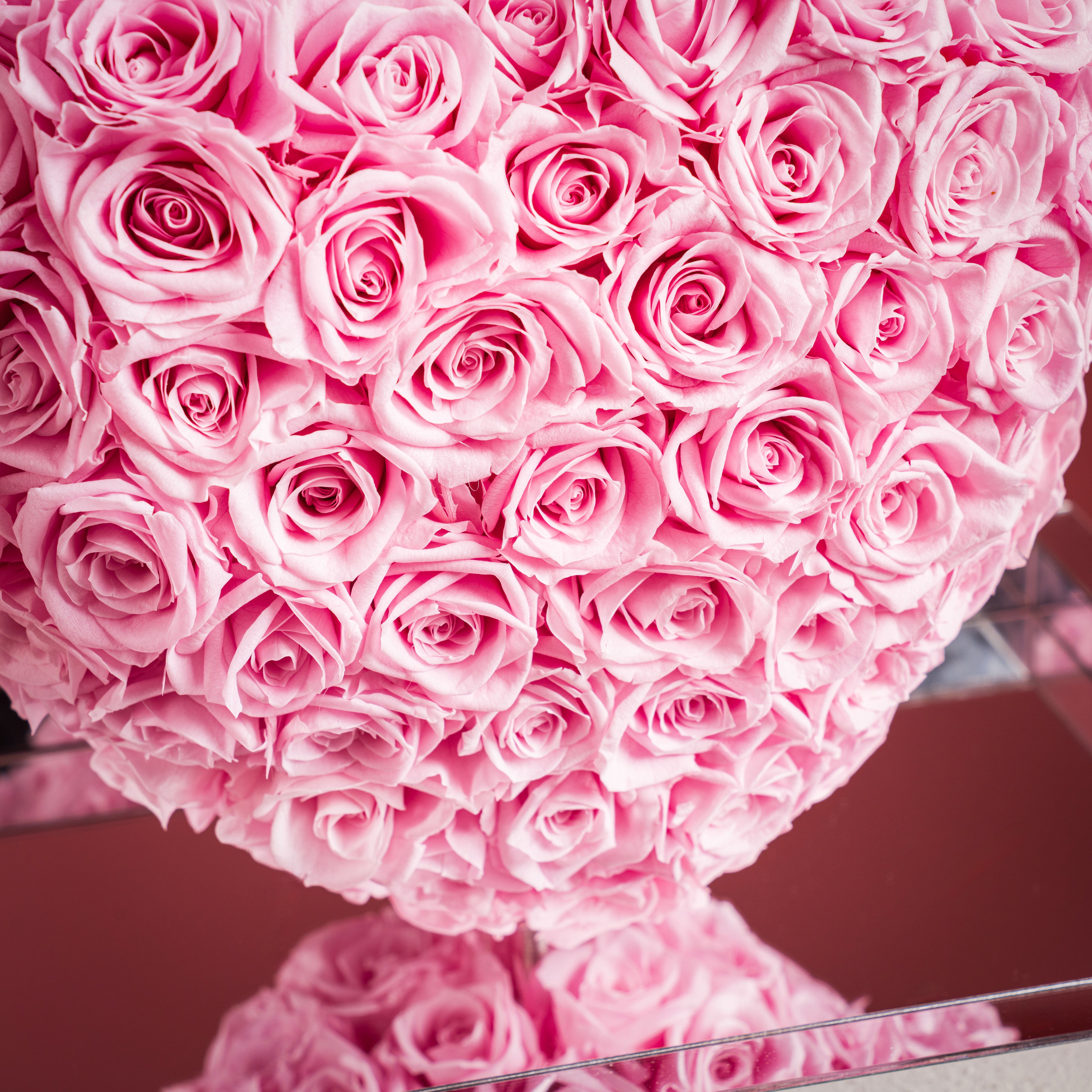 Forever Rose 360 Heart