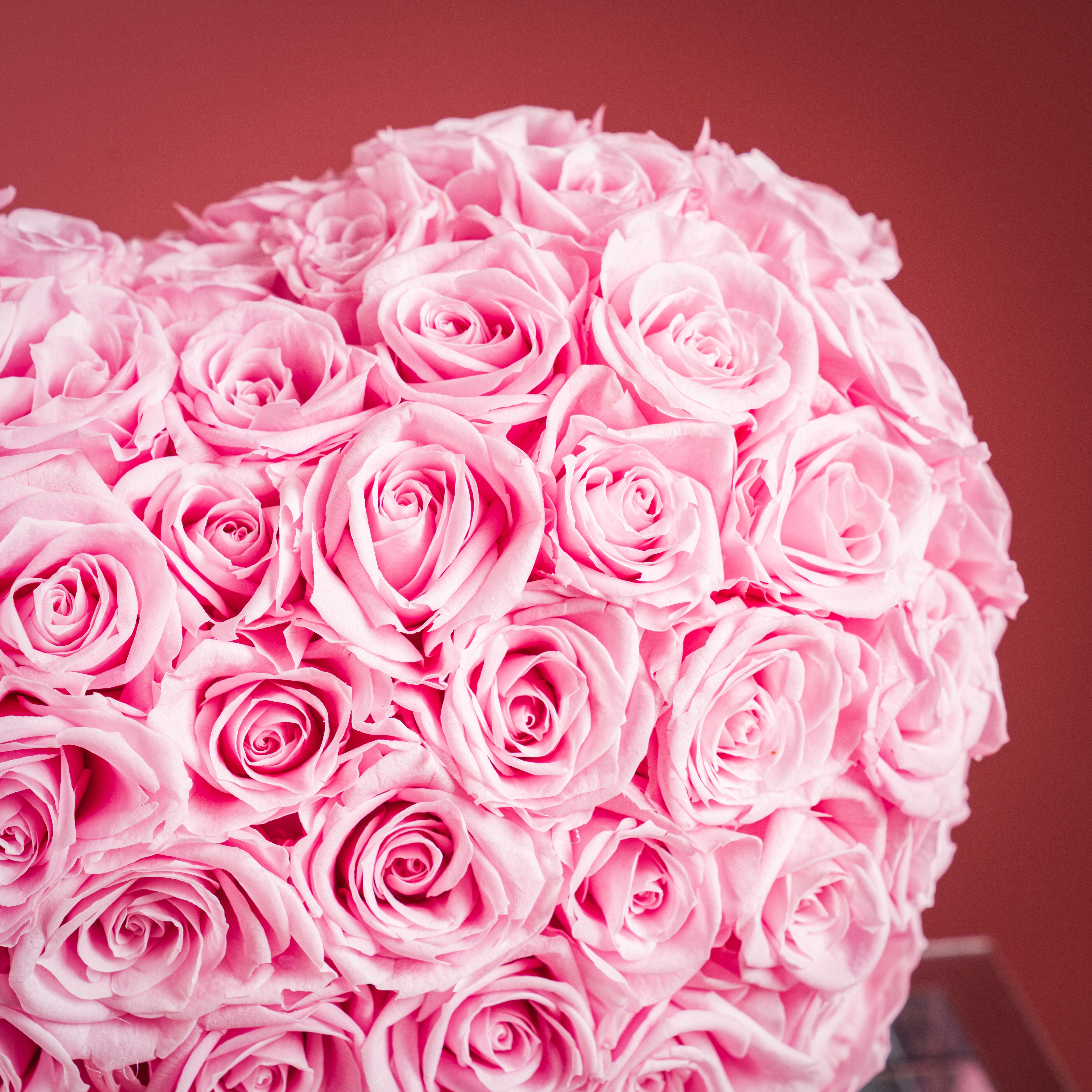 Forever Rose 360 Heart