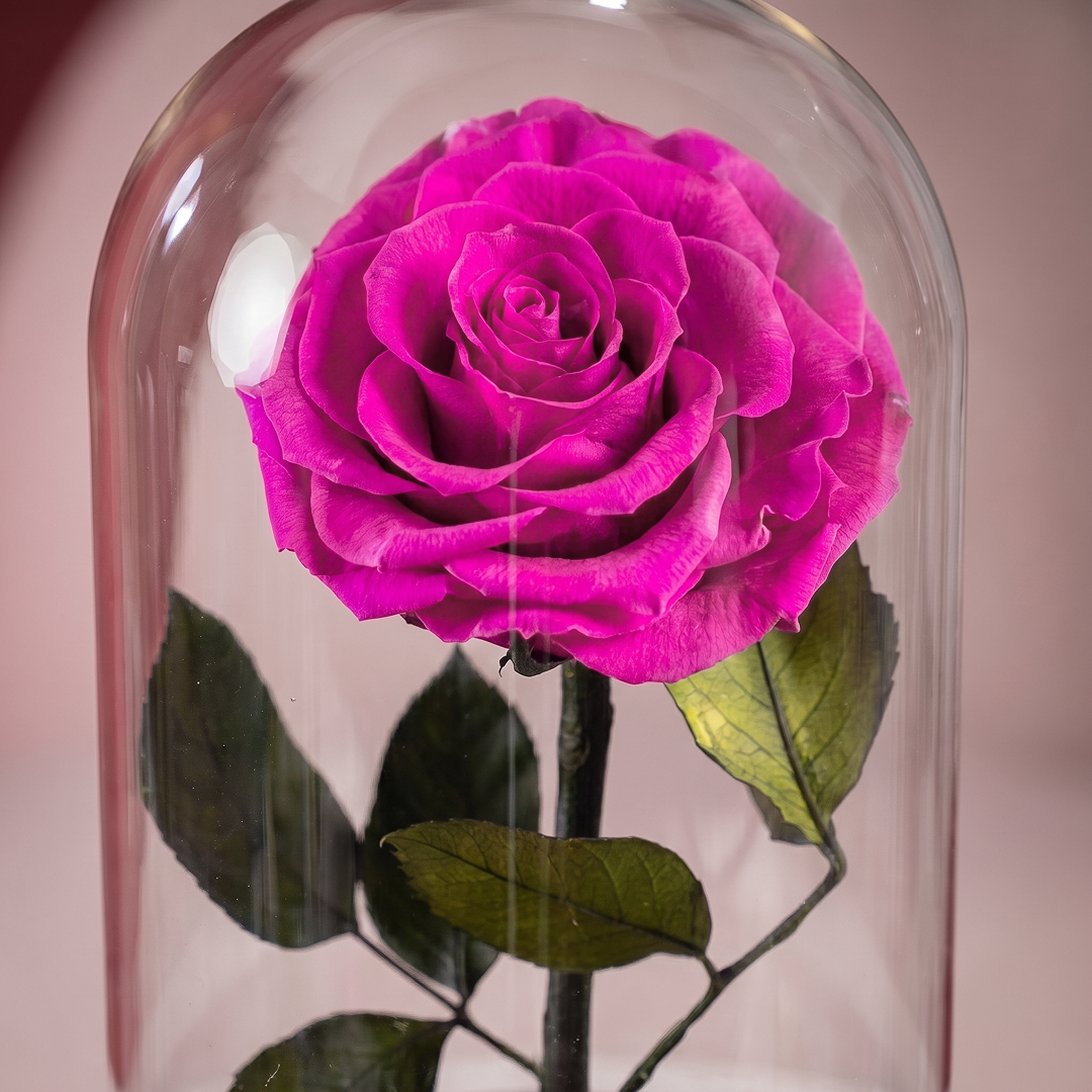 Small Purple Forever Rose - 2