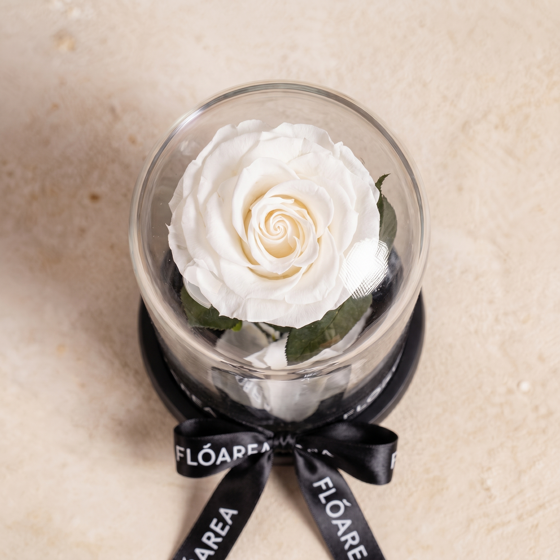 Small White Forever Rose - 3
