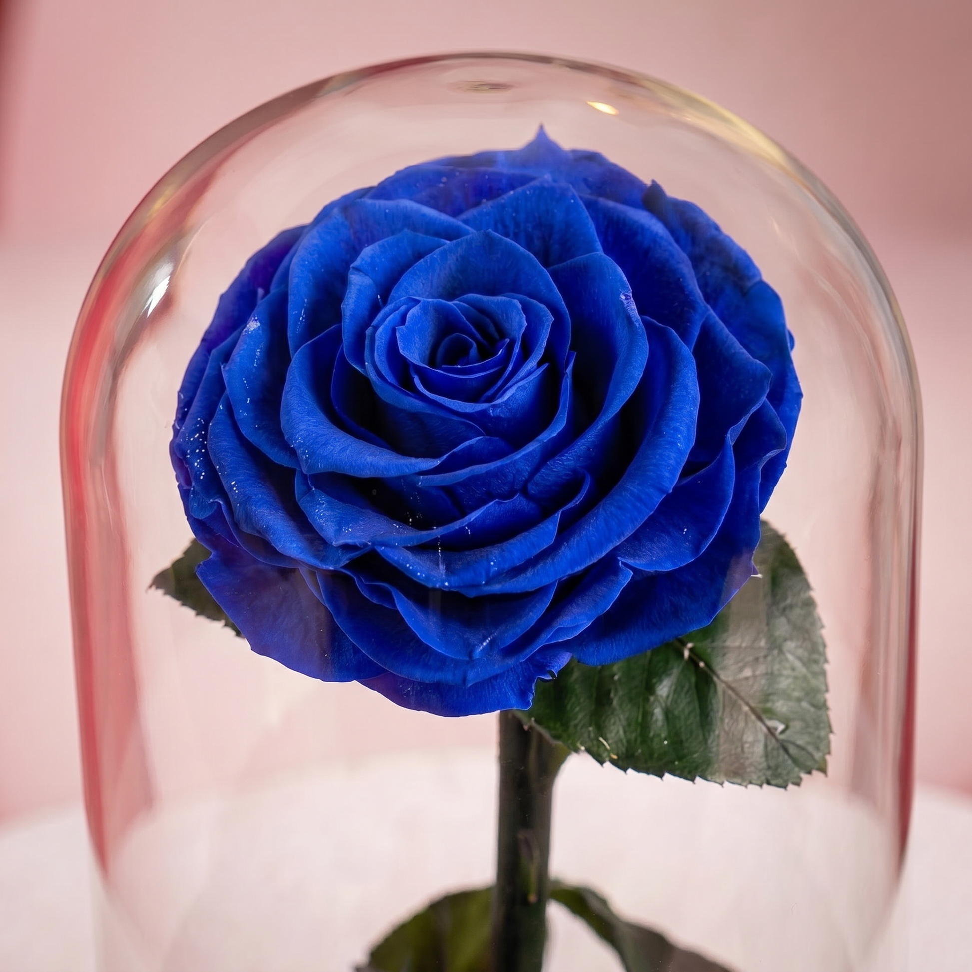 Small Blue Forever Rose - 2