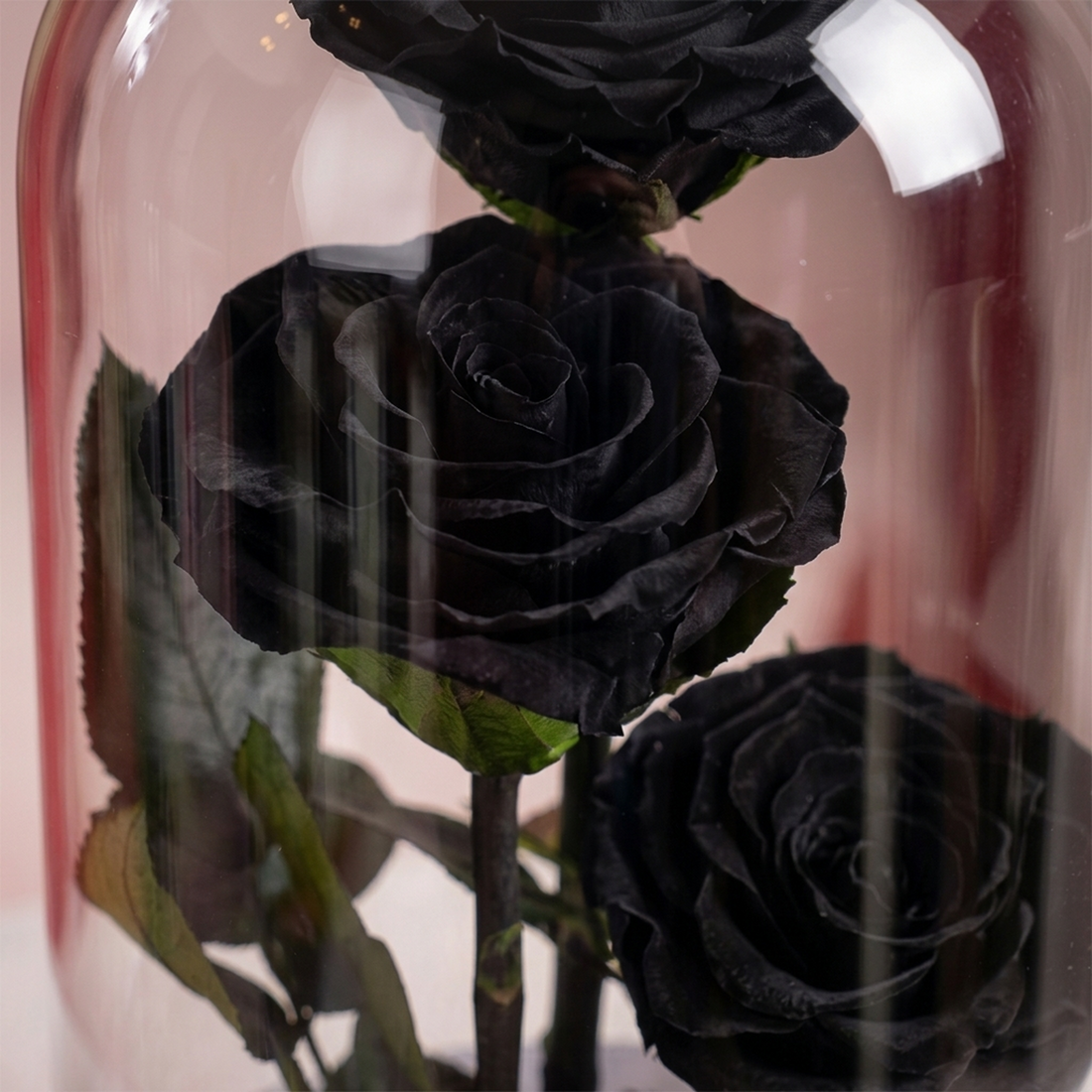 Large Black Forever Rose