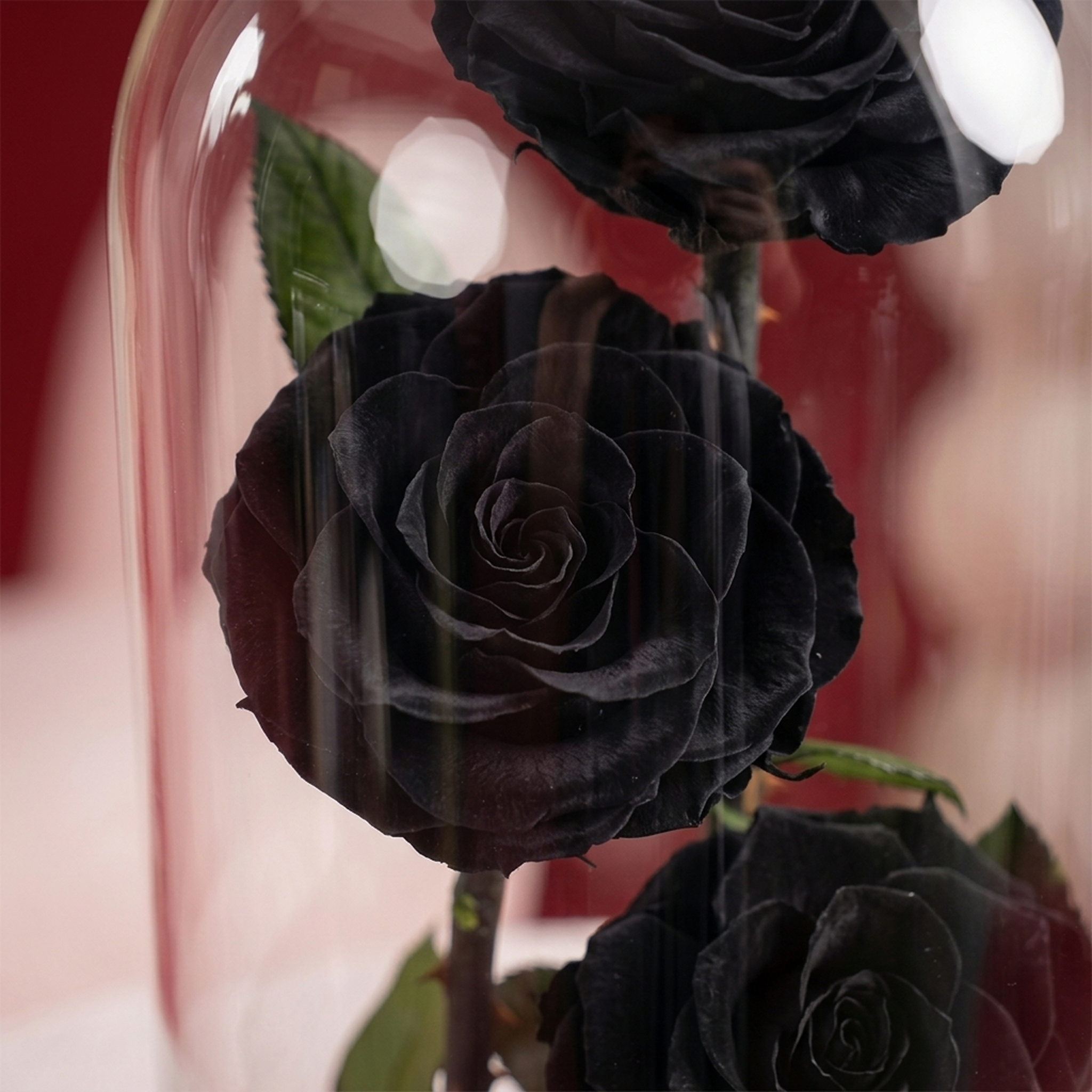 Medium Black Forever Rose