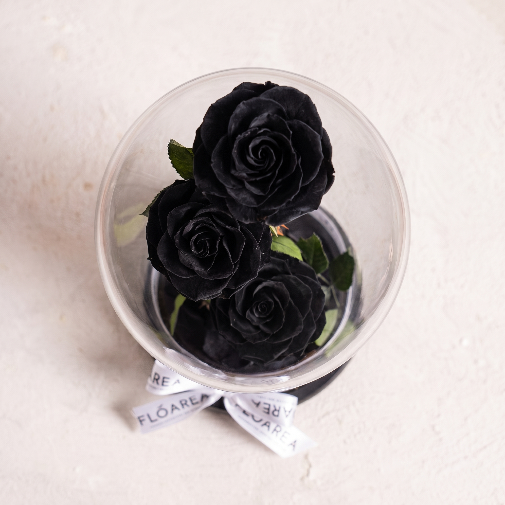 Large Black Forever Rose