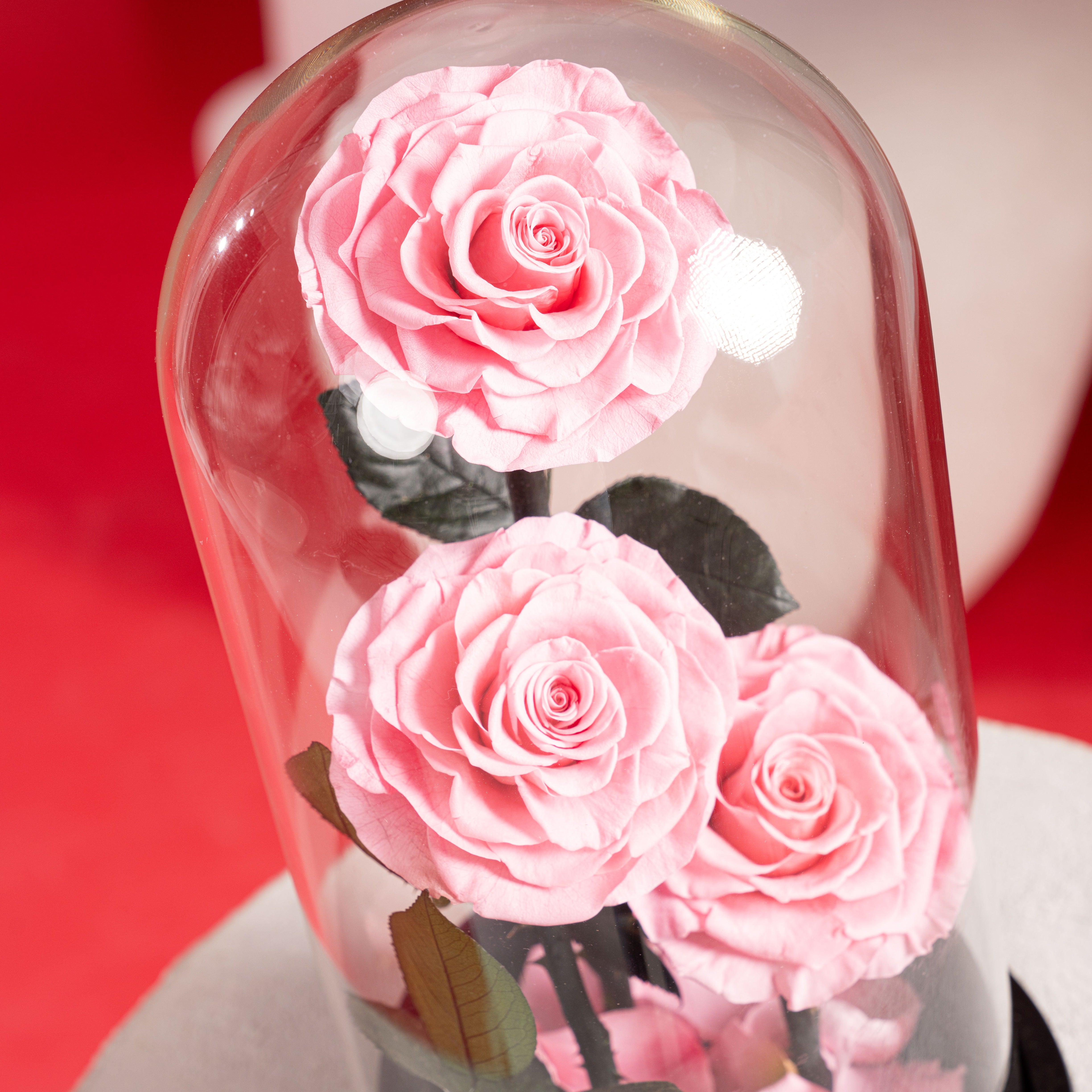 Triple Forever Roses – Pink (Large)
