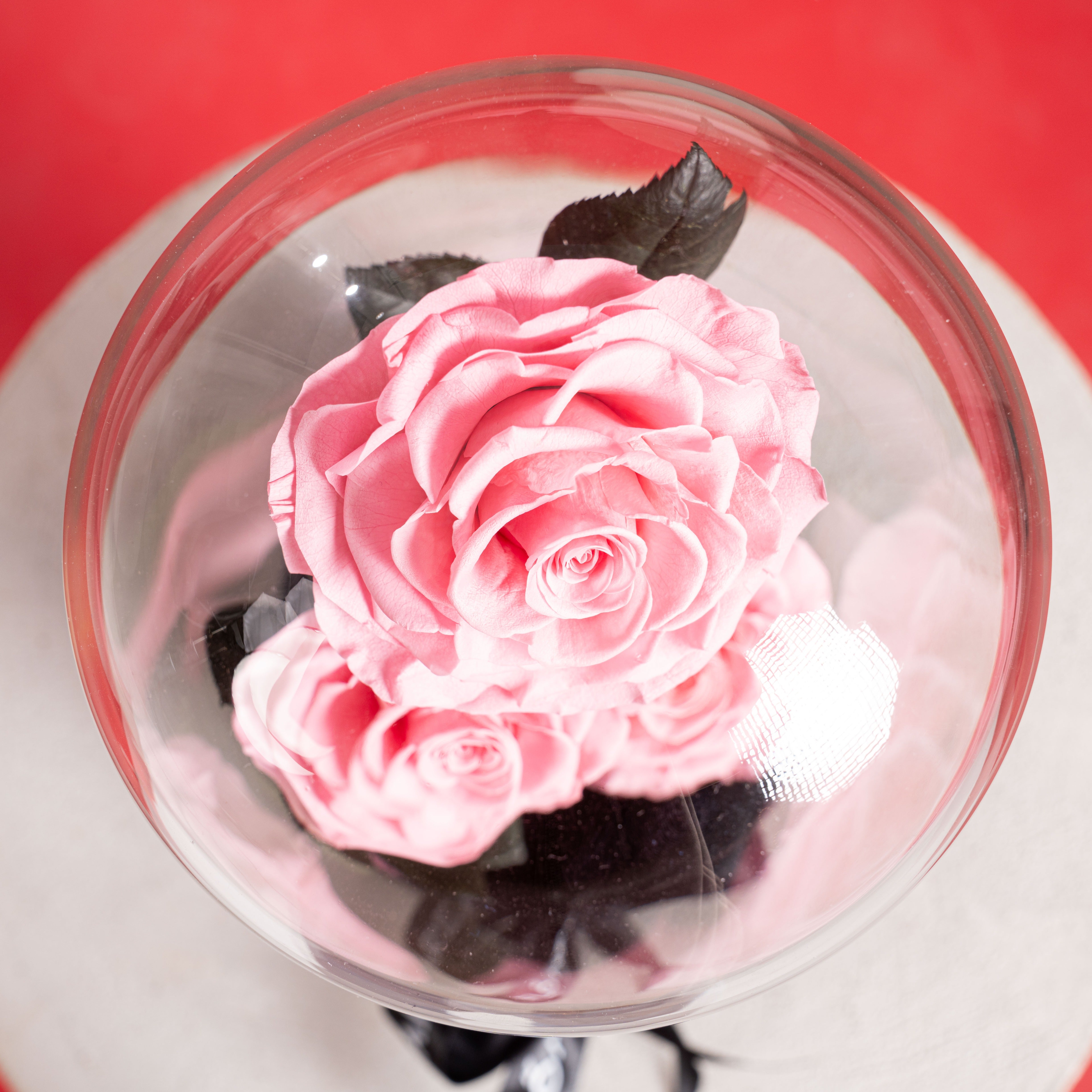 Triple Forever Roses – Pink (Large)