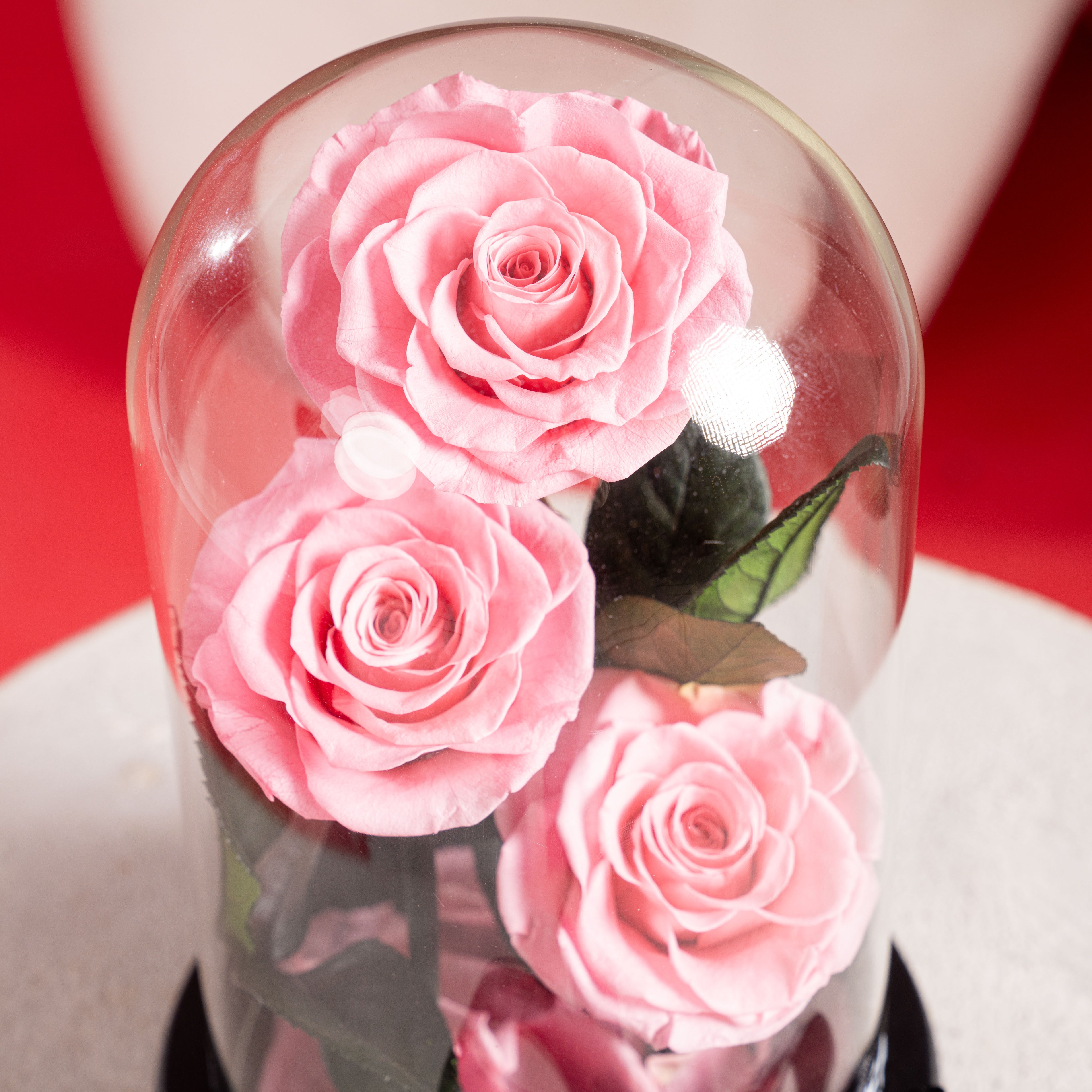 Triple Forever Roses – Pink (Medium)