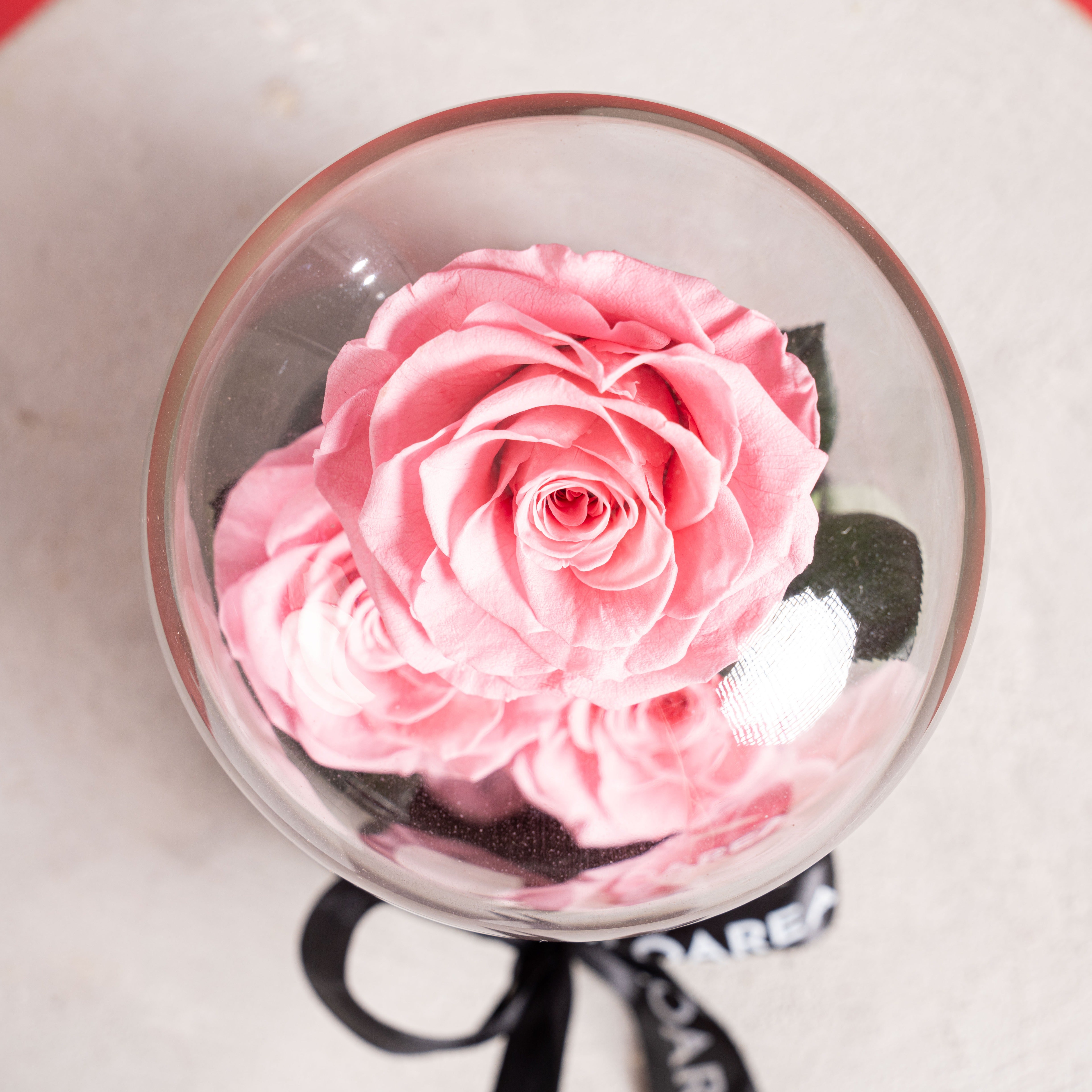 Triple Forever Roses – Pink (Medium)